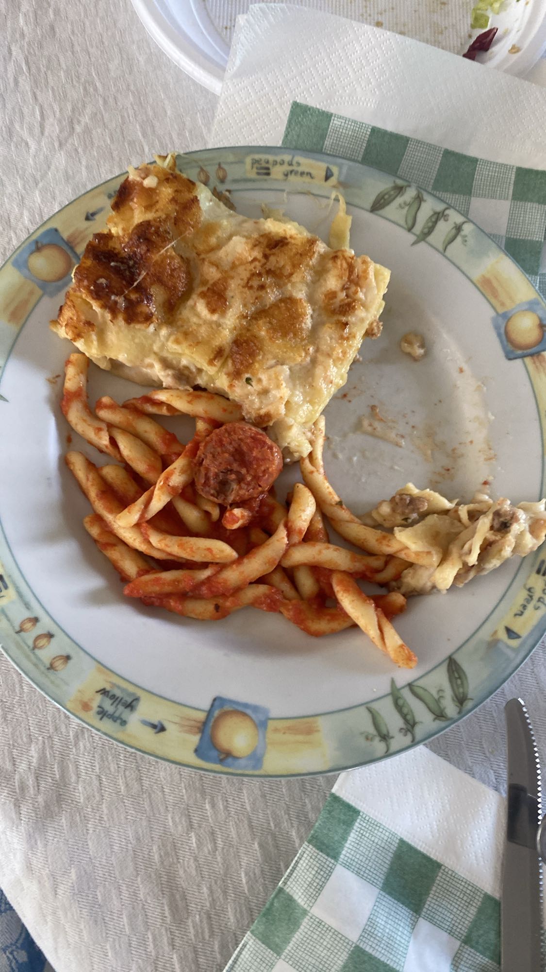 Lasagna and Pasta Plate