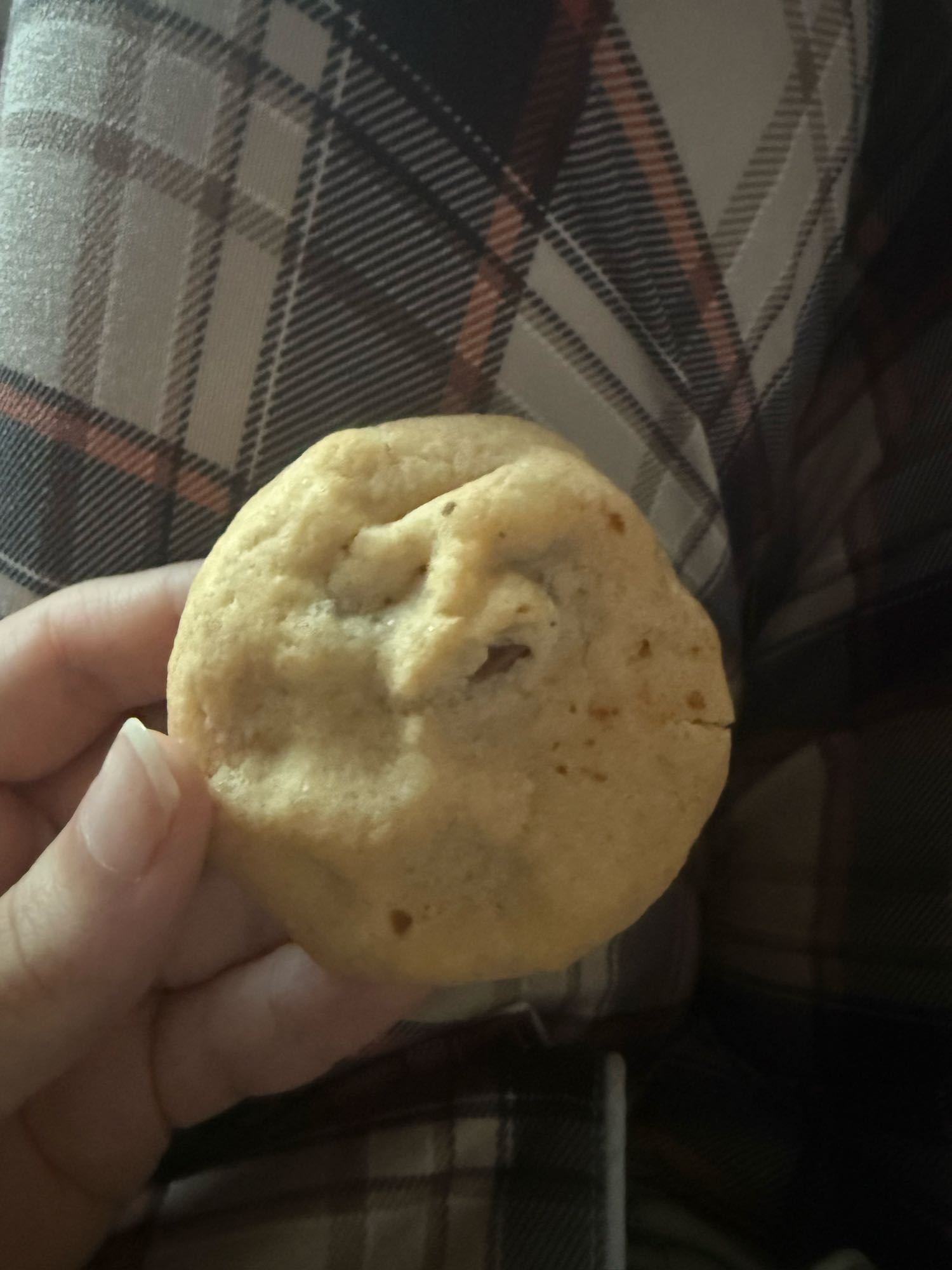 Chocolate Chip Cookie