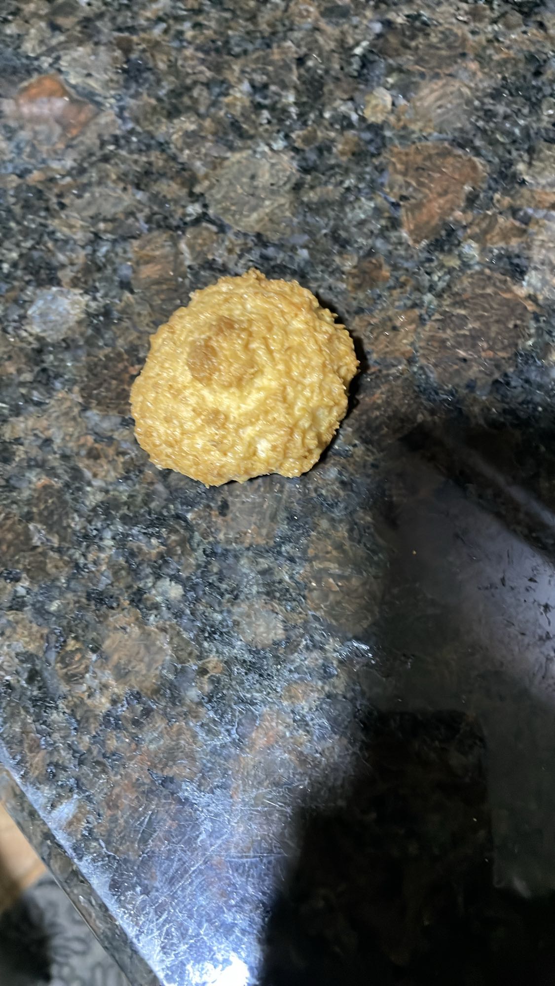 Oatmeal Coconut Cookie