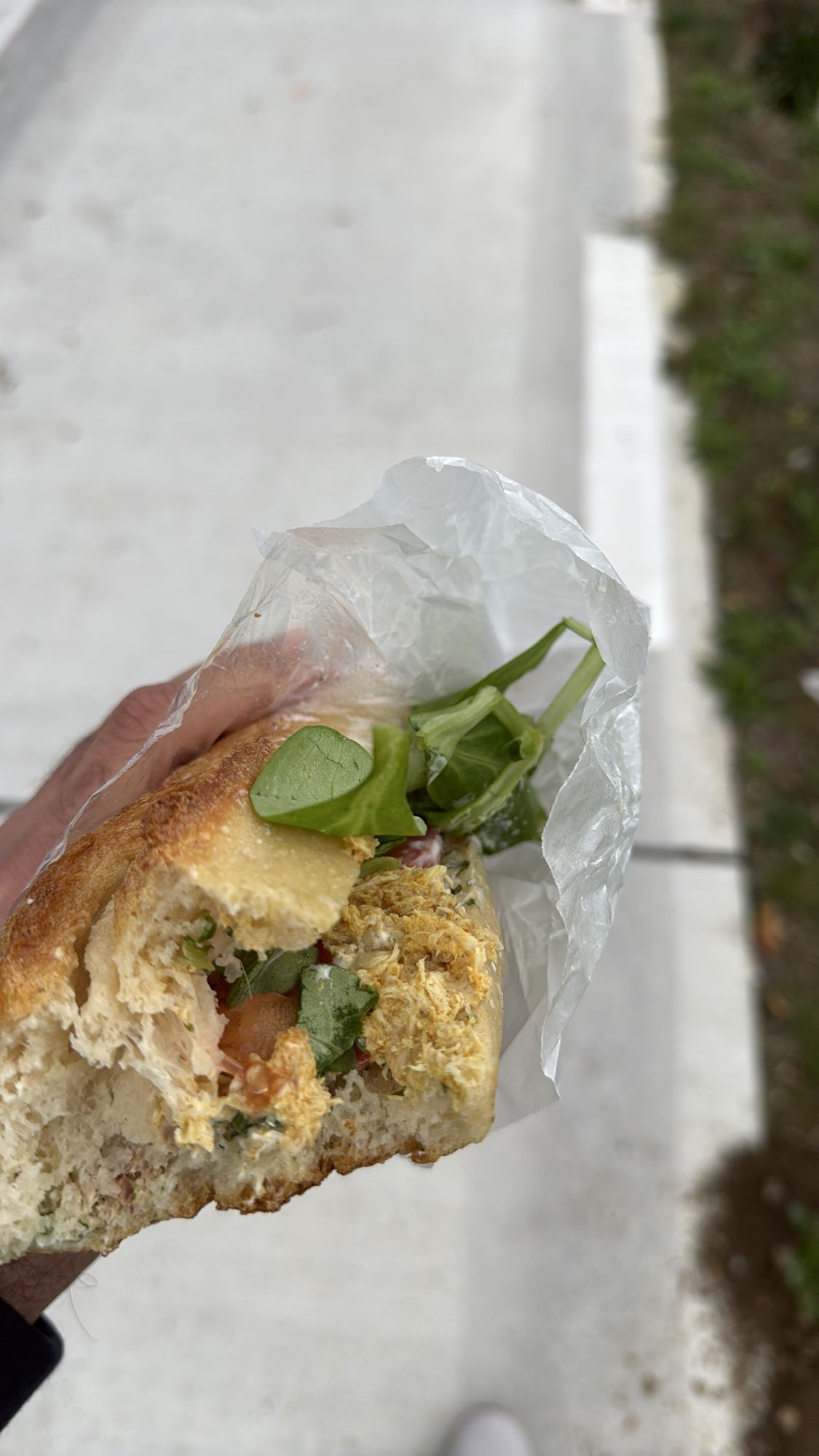 Chicken spinach sandwich