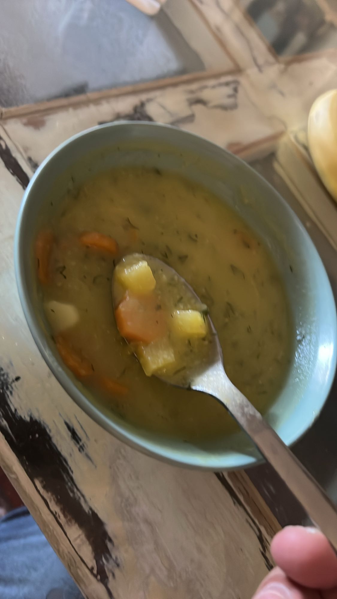 Vegetable Soup