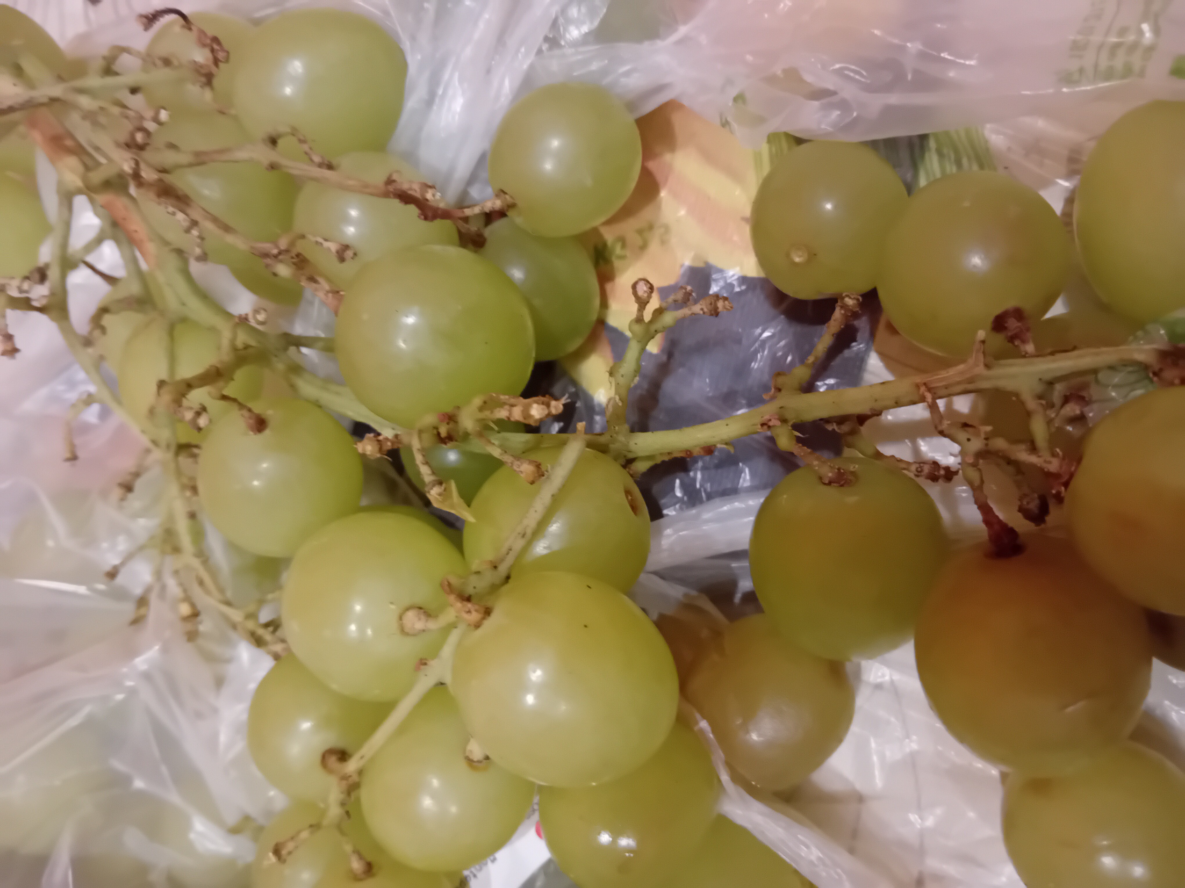 Green Grapes Snack