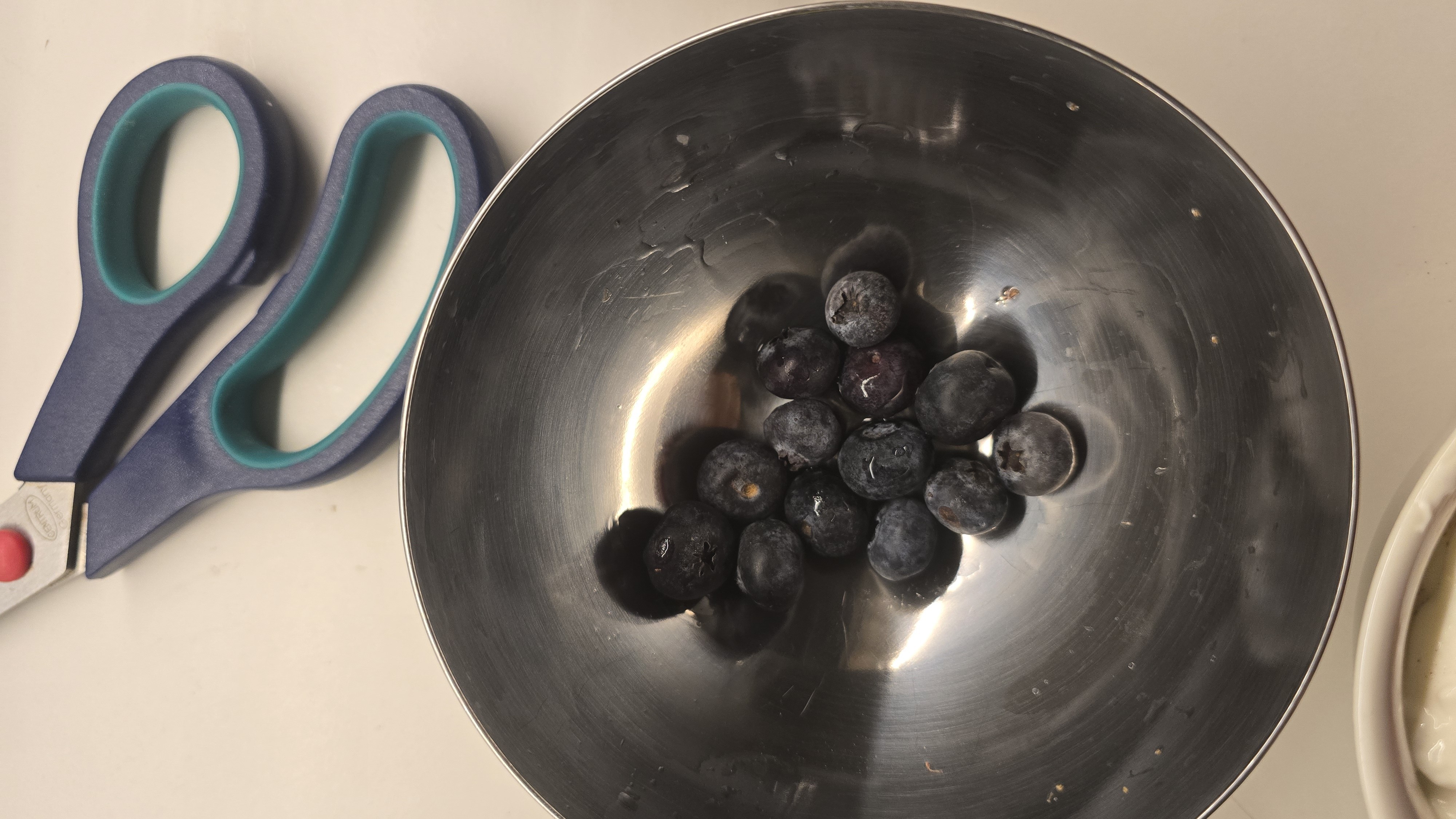 Blueberries in bowl