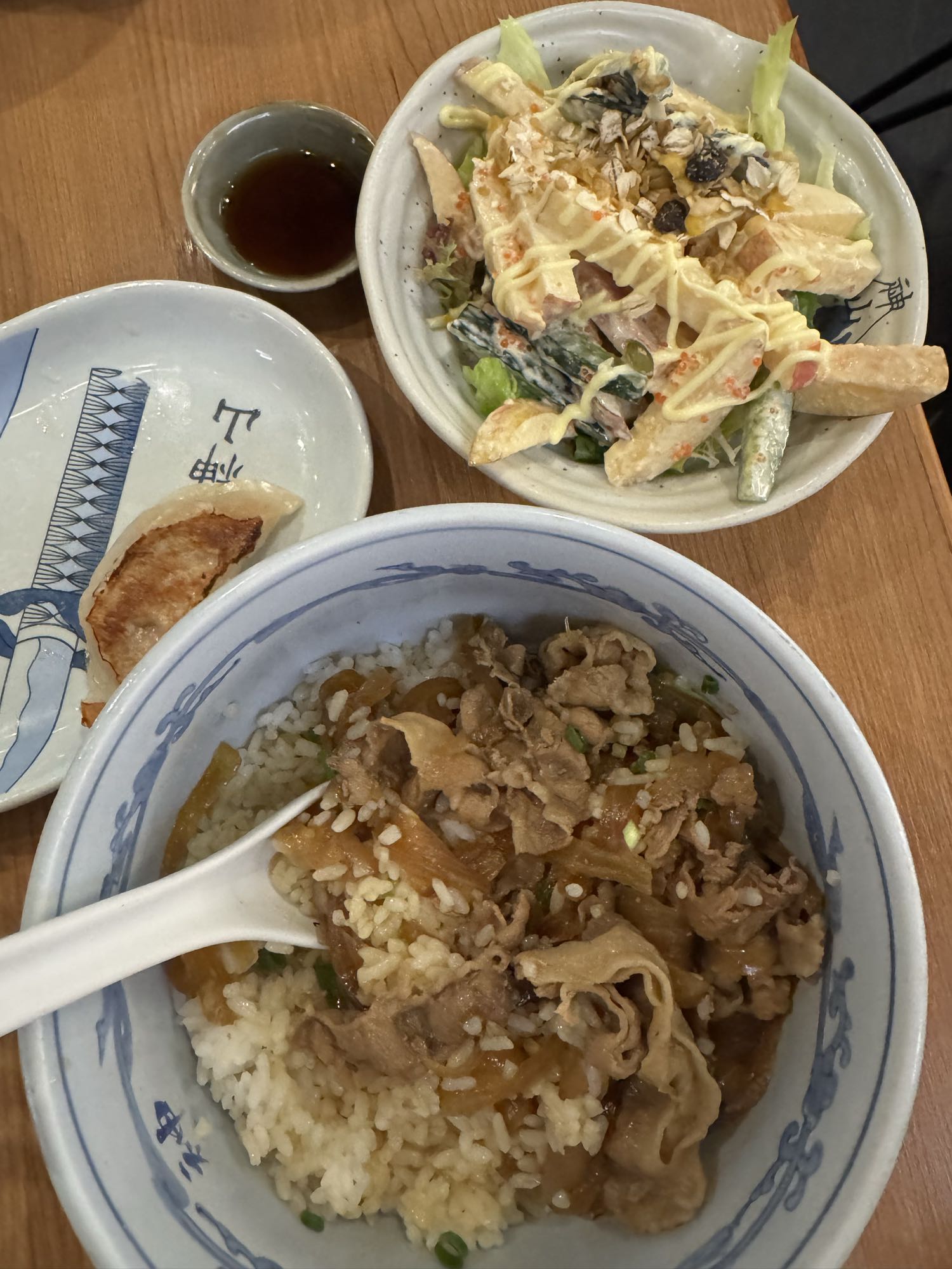Beef Rice Bowl & Salad Set