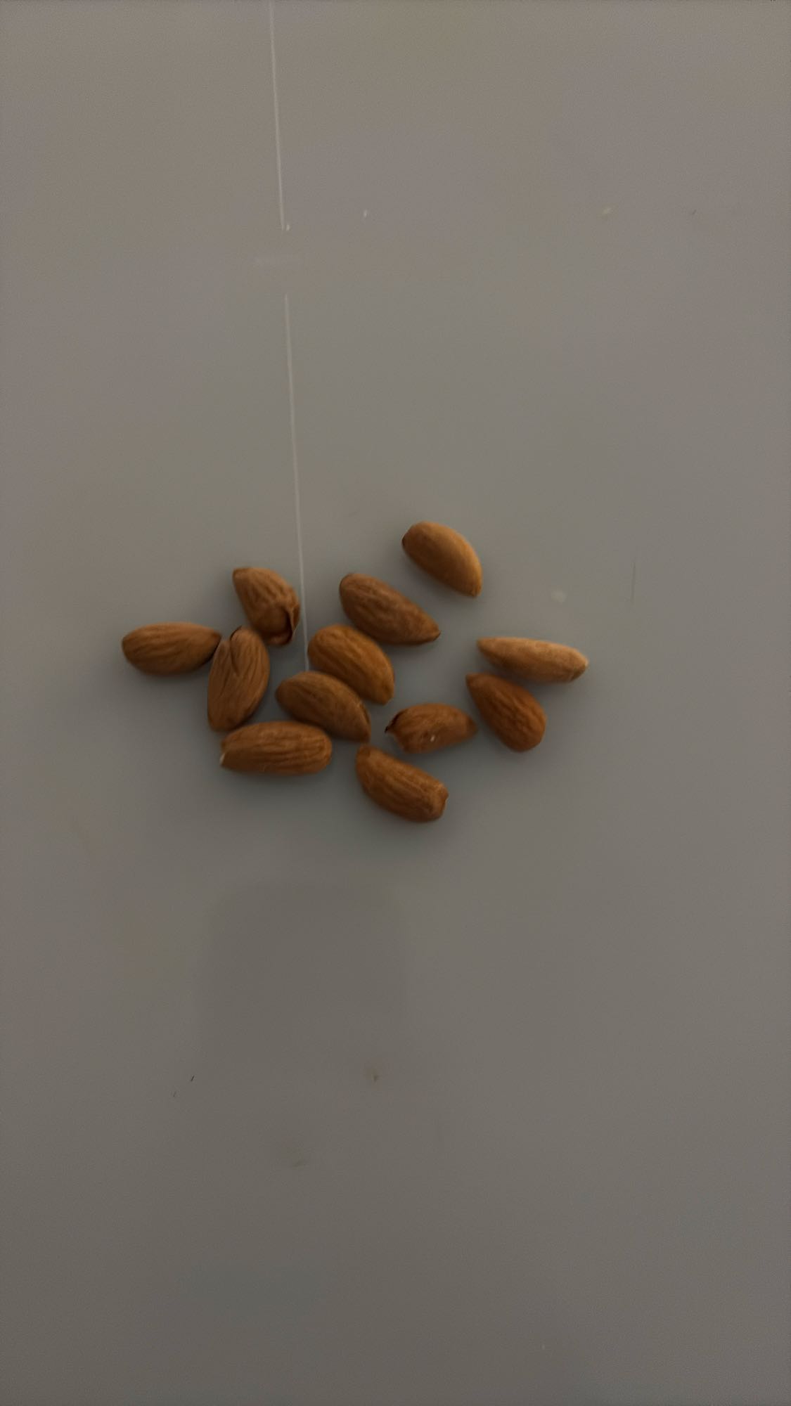 Badem atıştırmalık