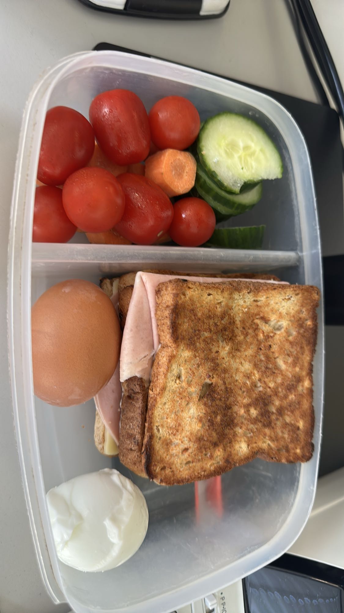 Sandviç ve Sebze Kutusu