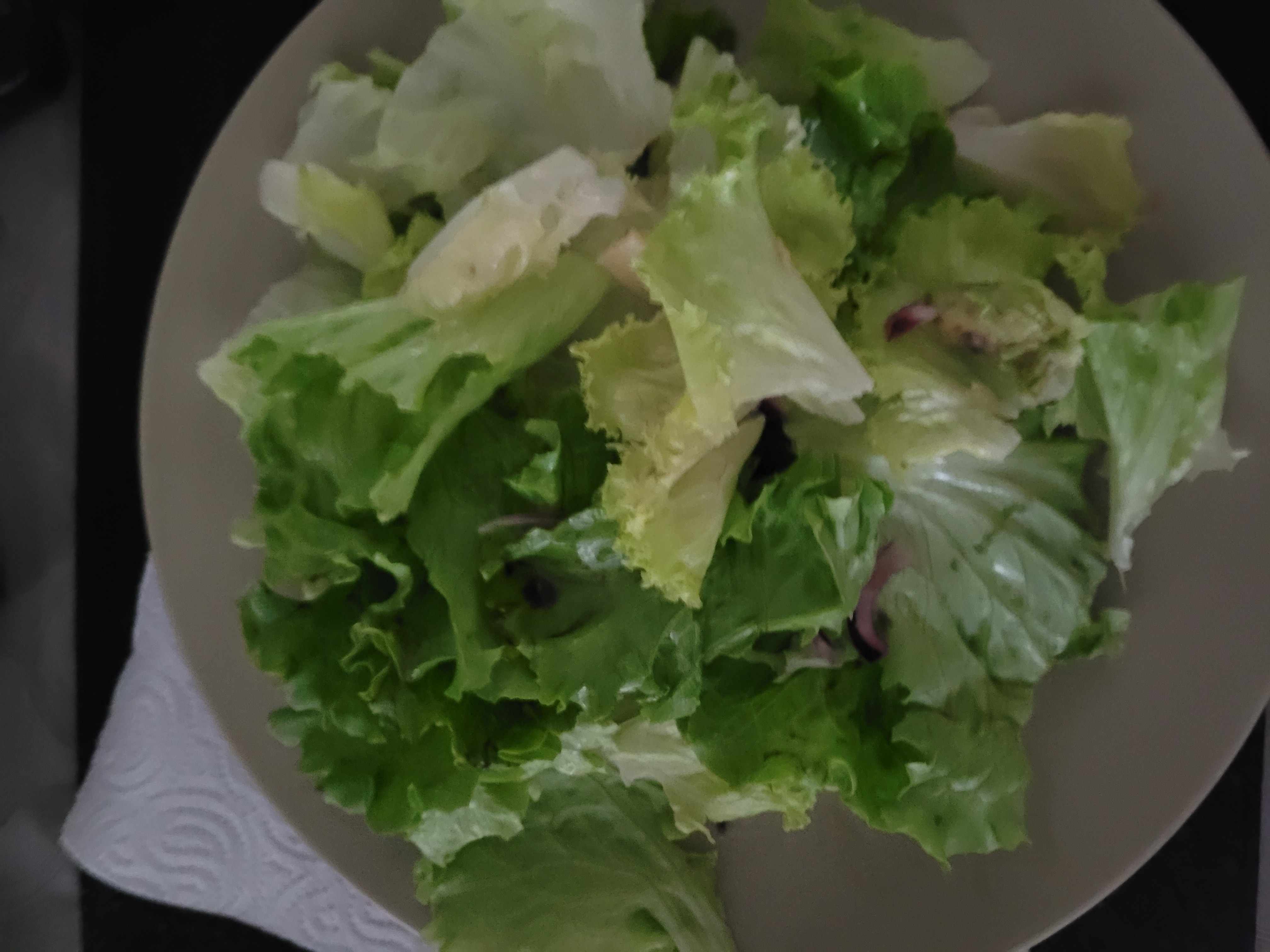 Salade verte simple