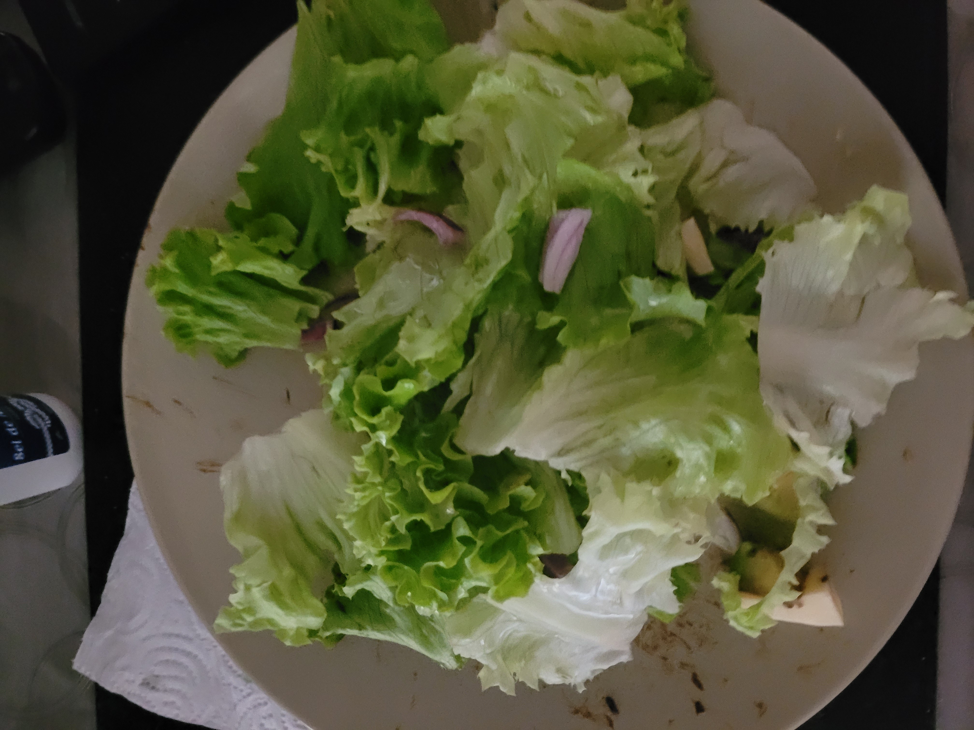 Salade verte fraîche