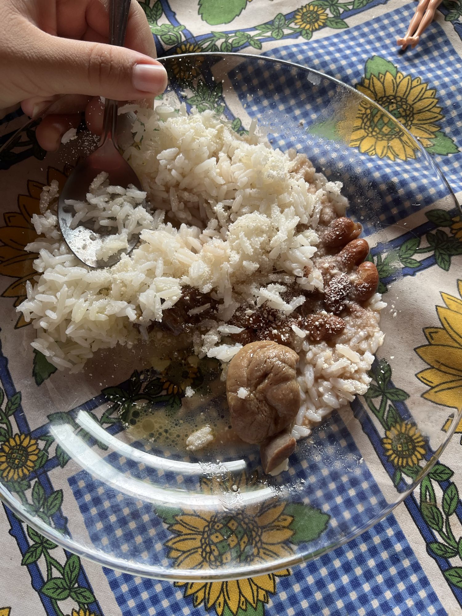 Arroz, feijão e carne