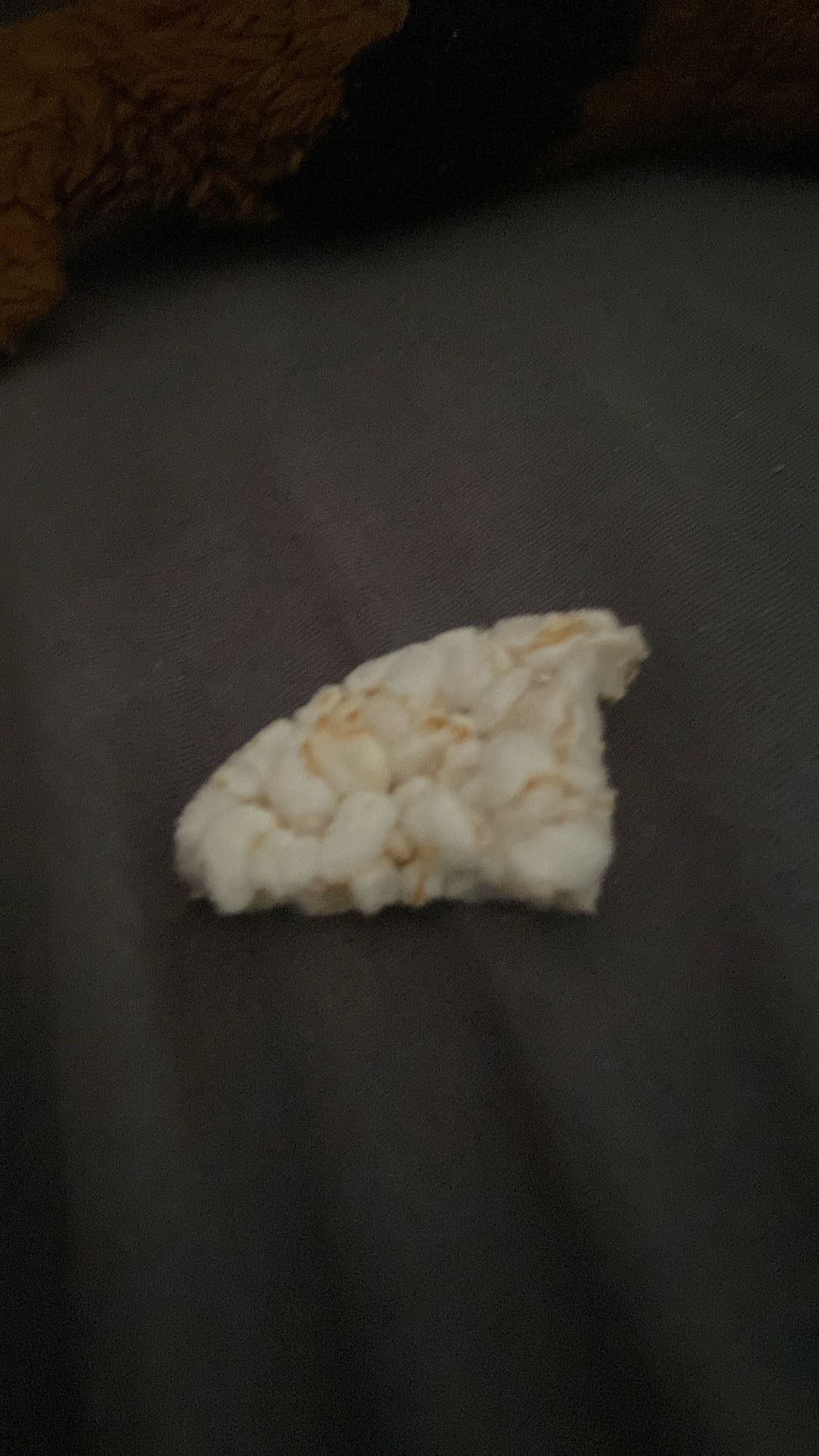 kawałek wafla ryżowego