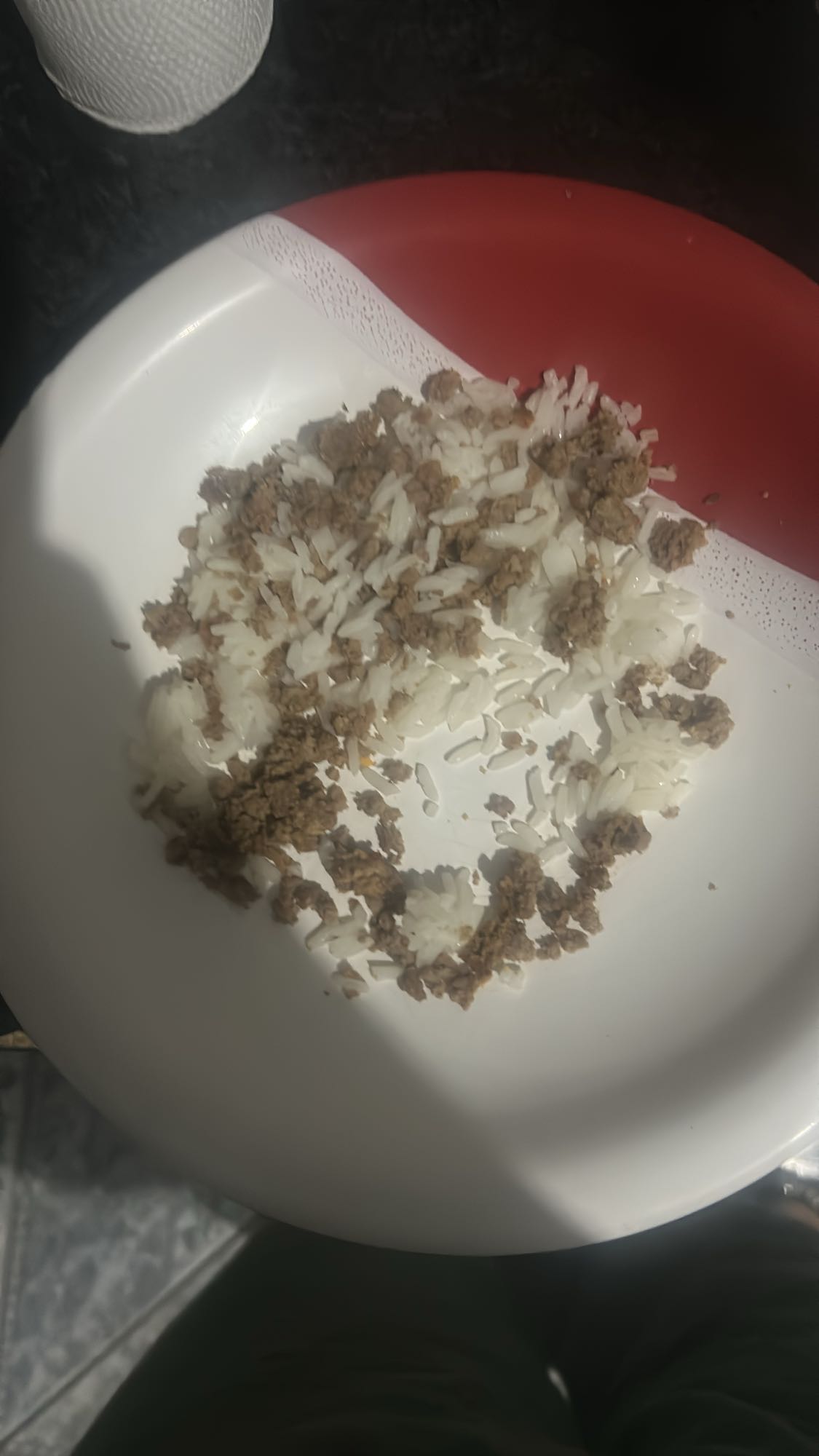 Arroz com carne moída