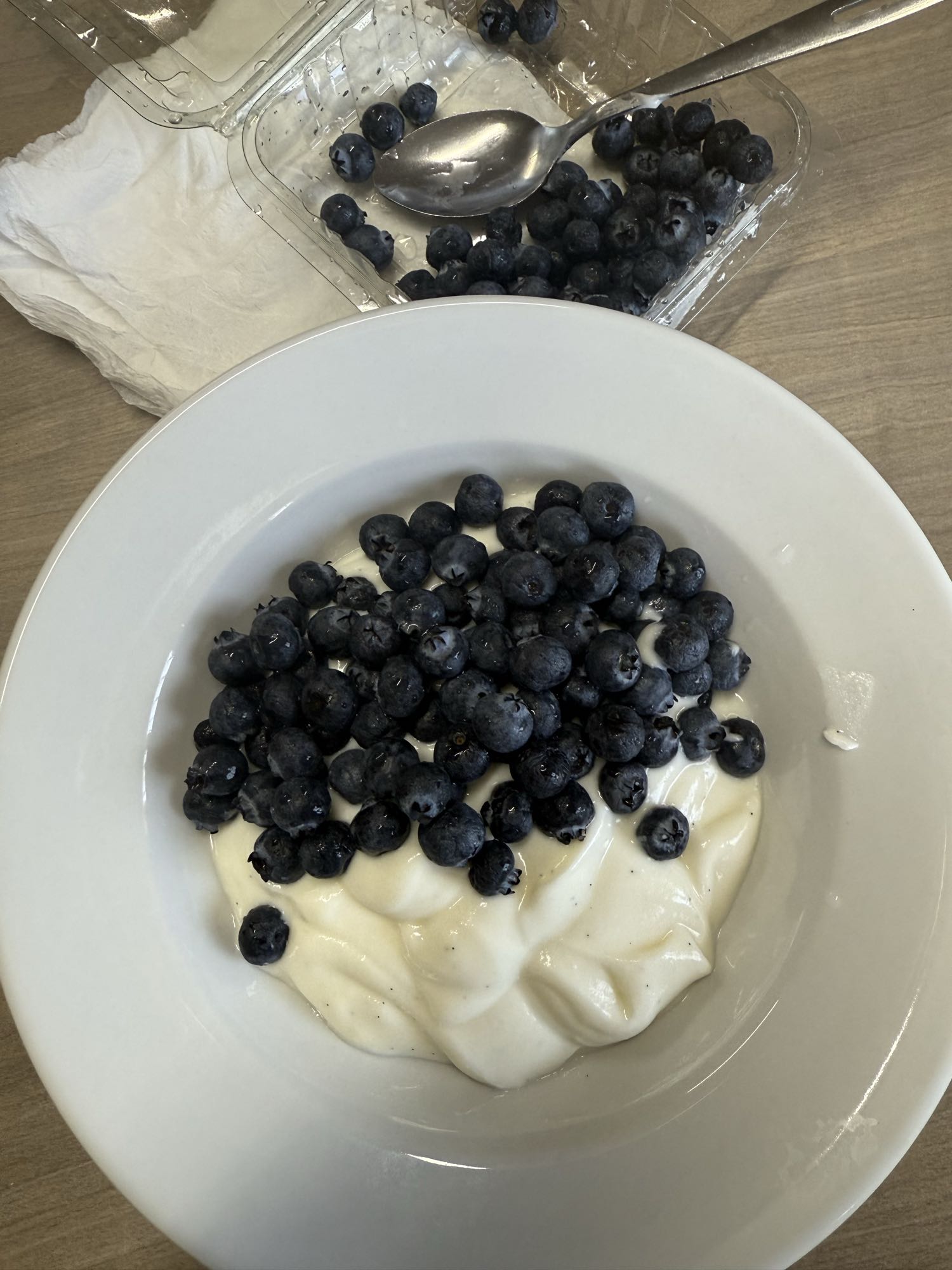 Greek Yogurt with Blueberries