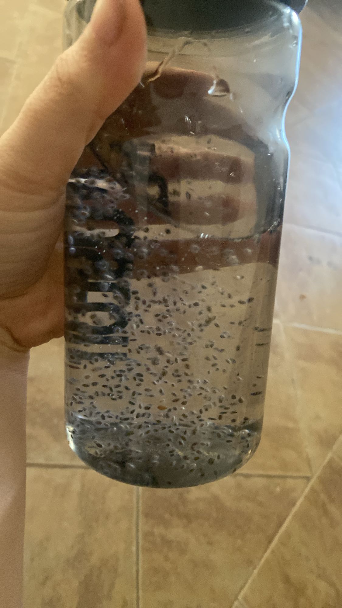 ماء مع بذور الشيا