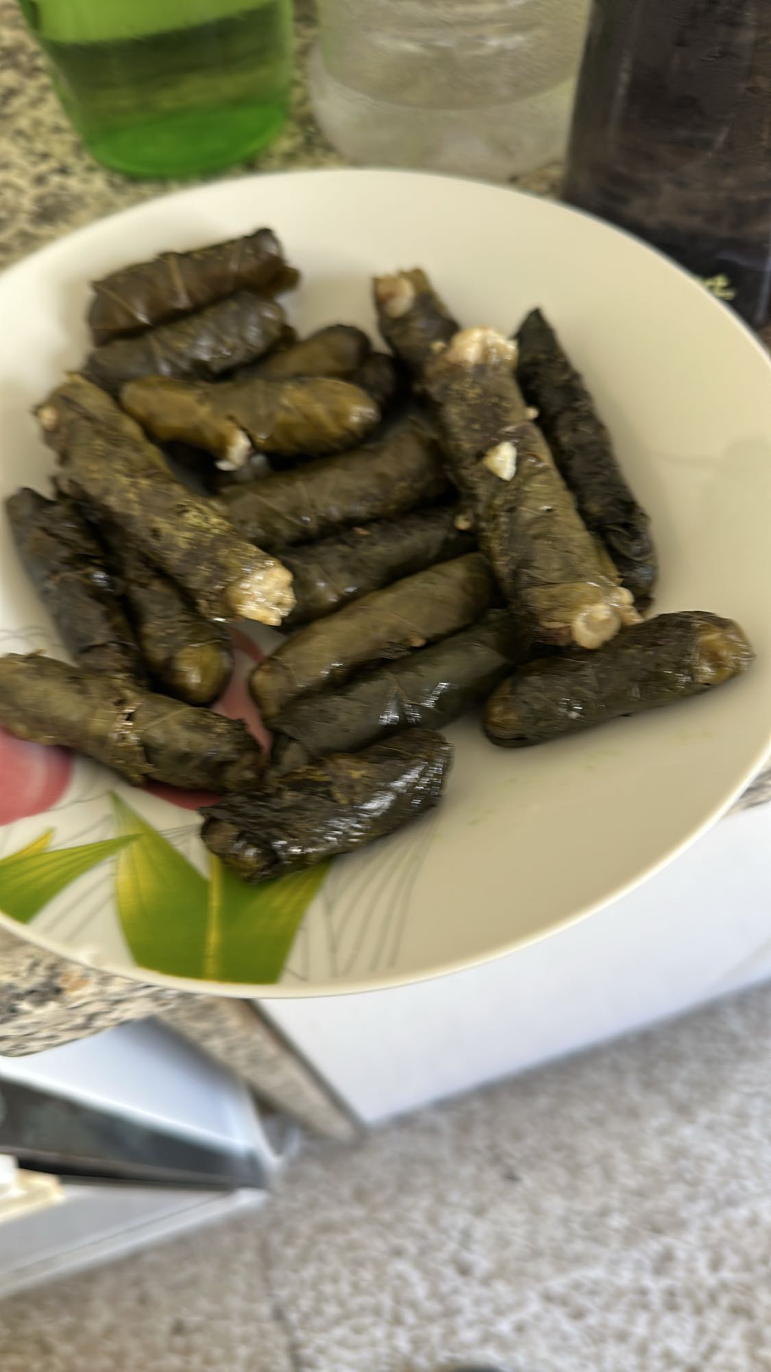 Stuffed Grape Leaves