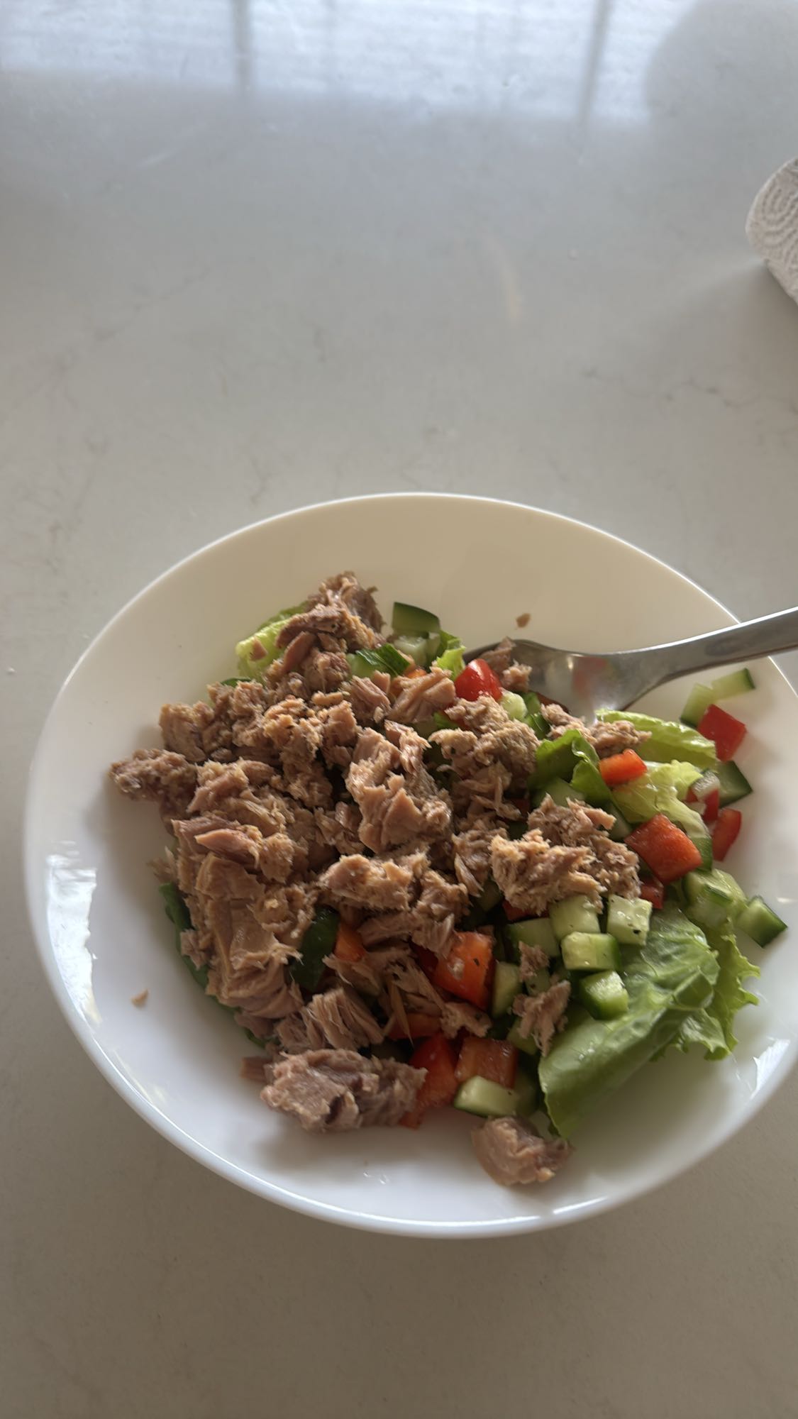 Tuna Veggie Salad