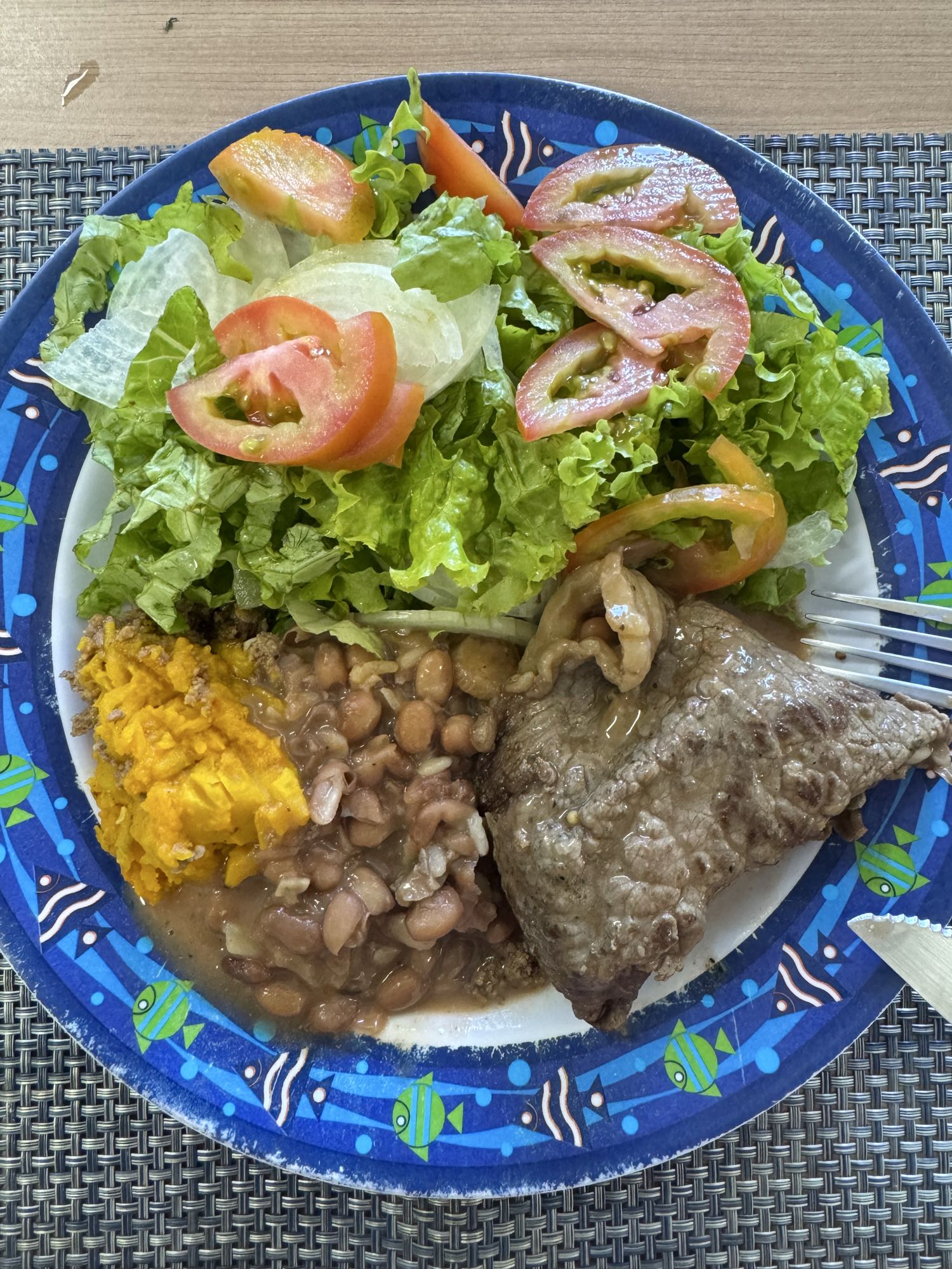 Carne com salada e feijão
