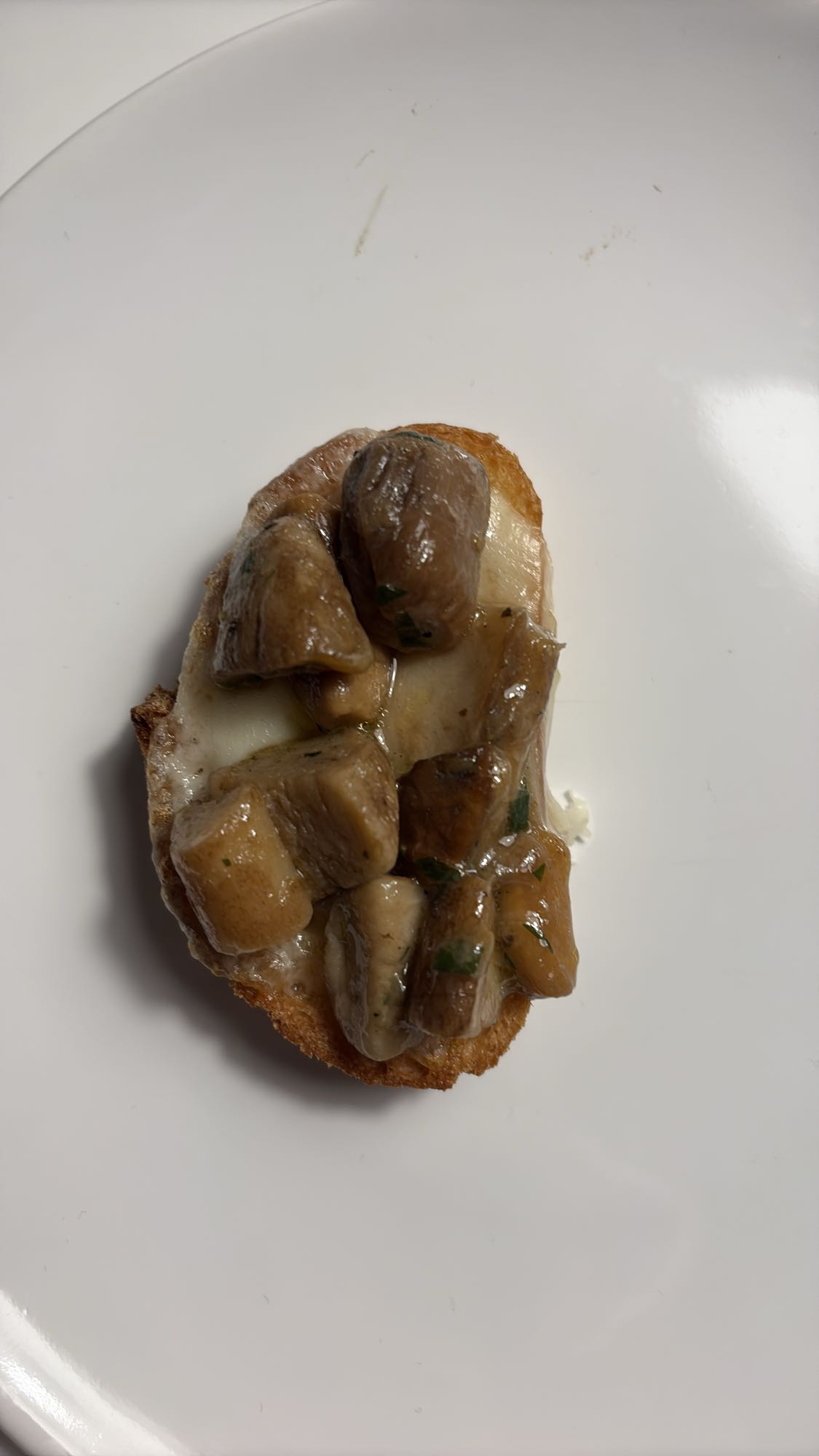 Mushroom Cheese Toast