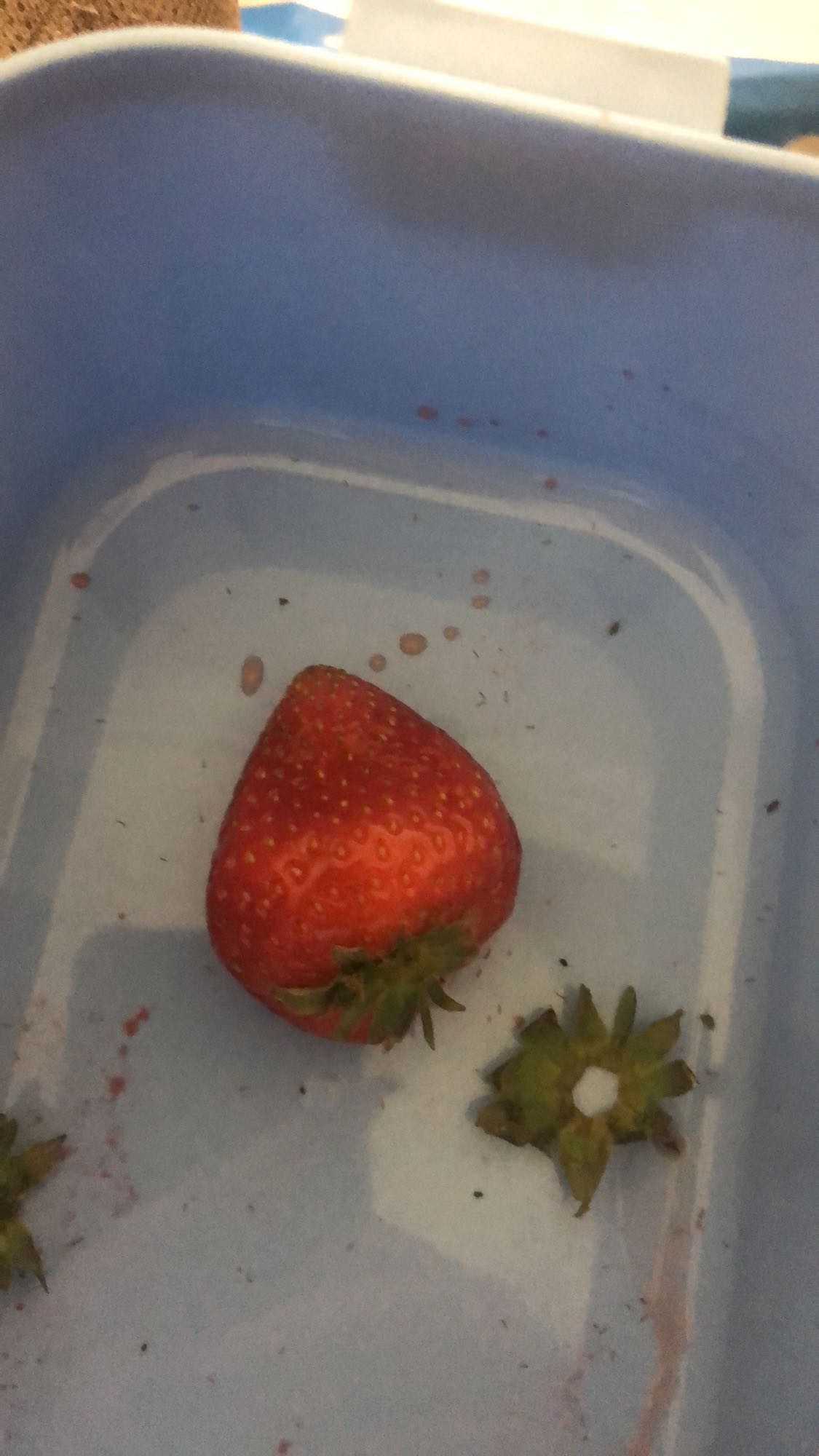 Одна клубника