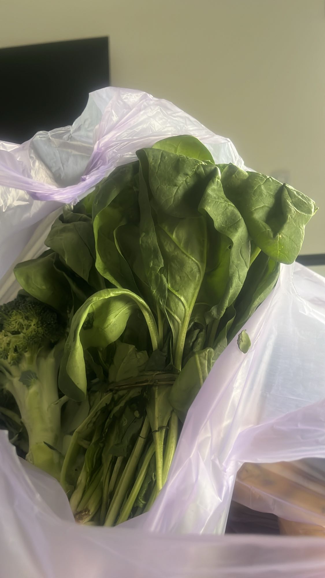 Bolsa de verduras frescas