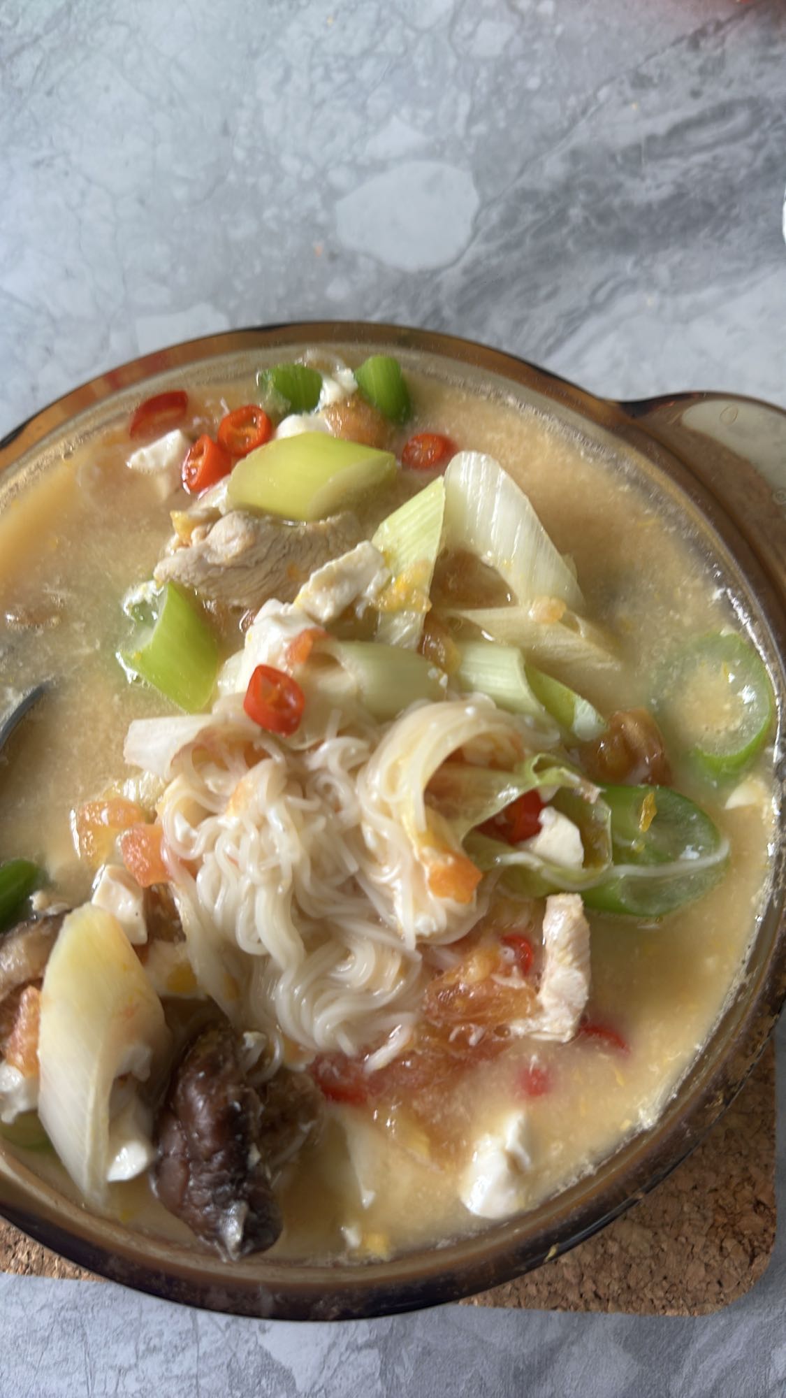 Chicken veggie noodle soup