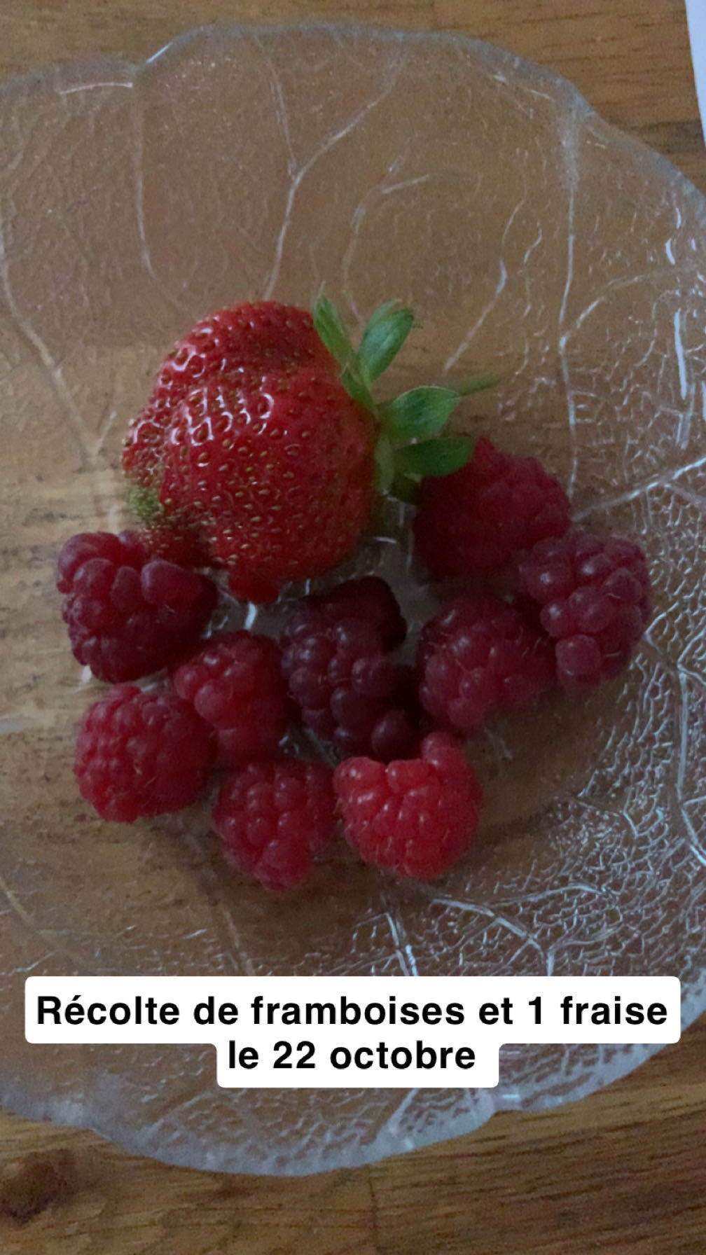 Fraises et framboises fraîches