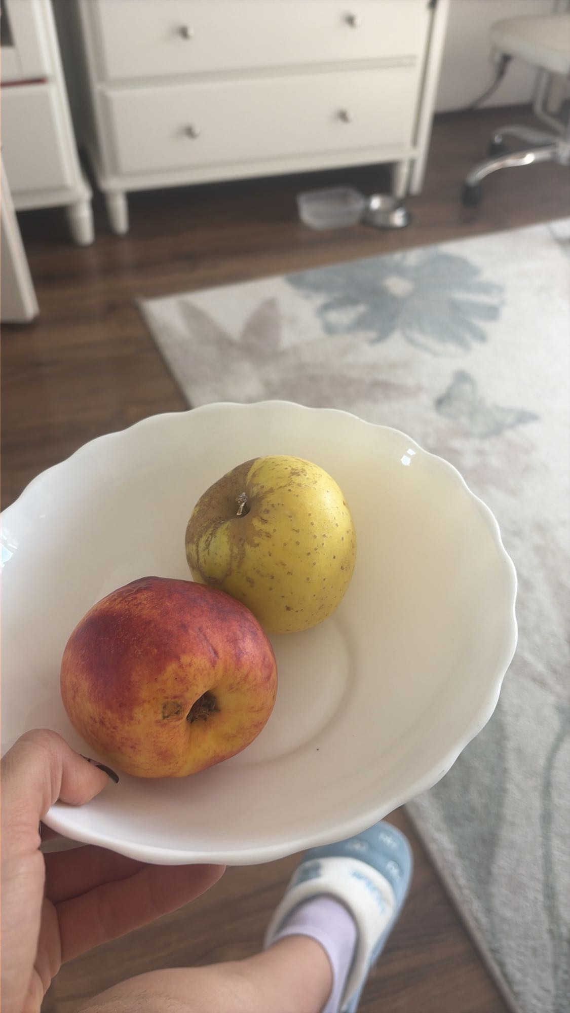 Fructe proaspete în bol