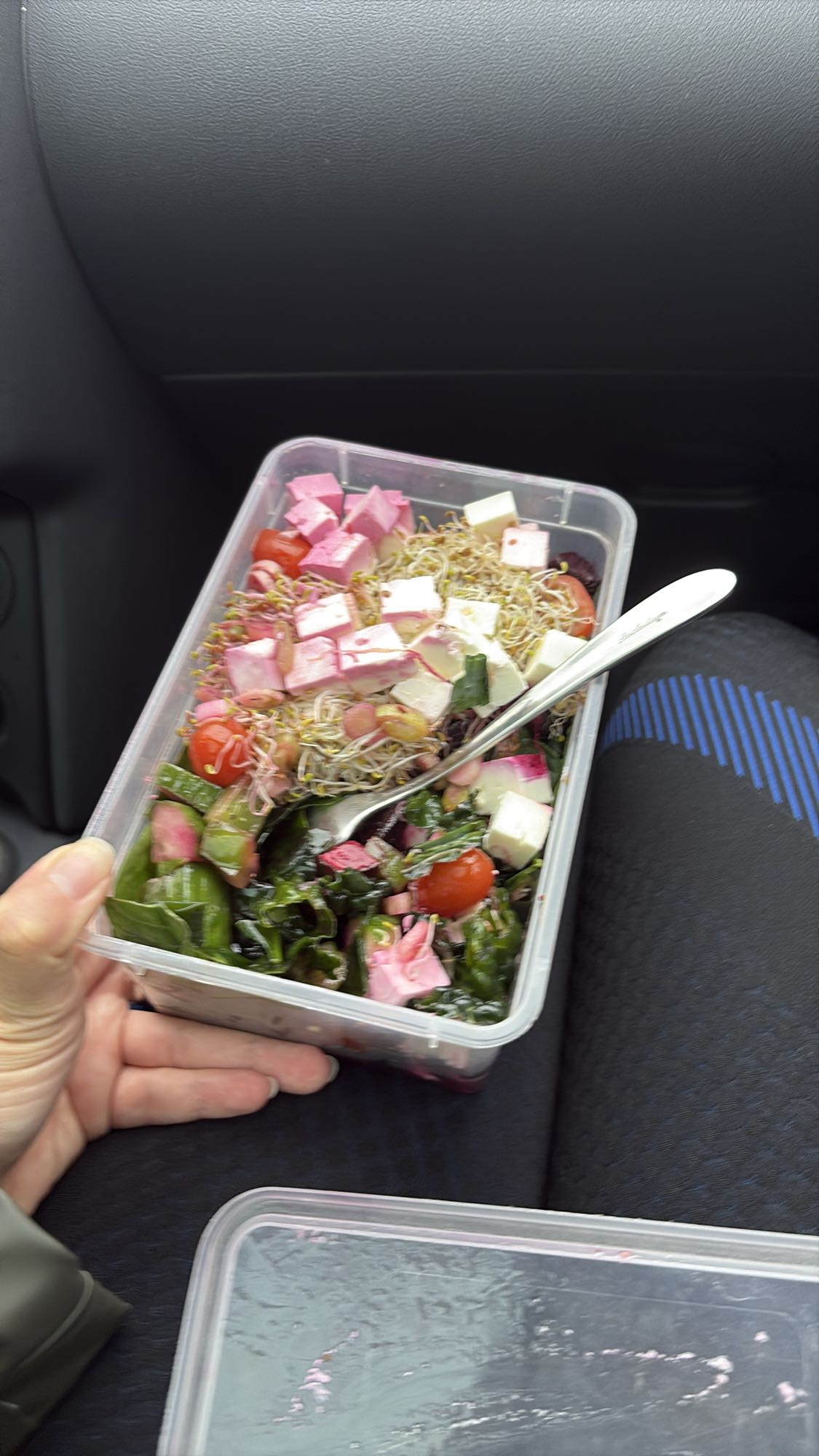 Färgglad salladslåda