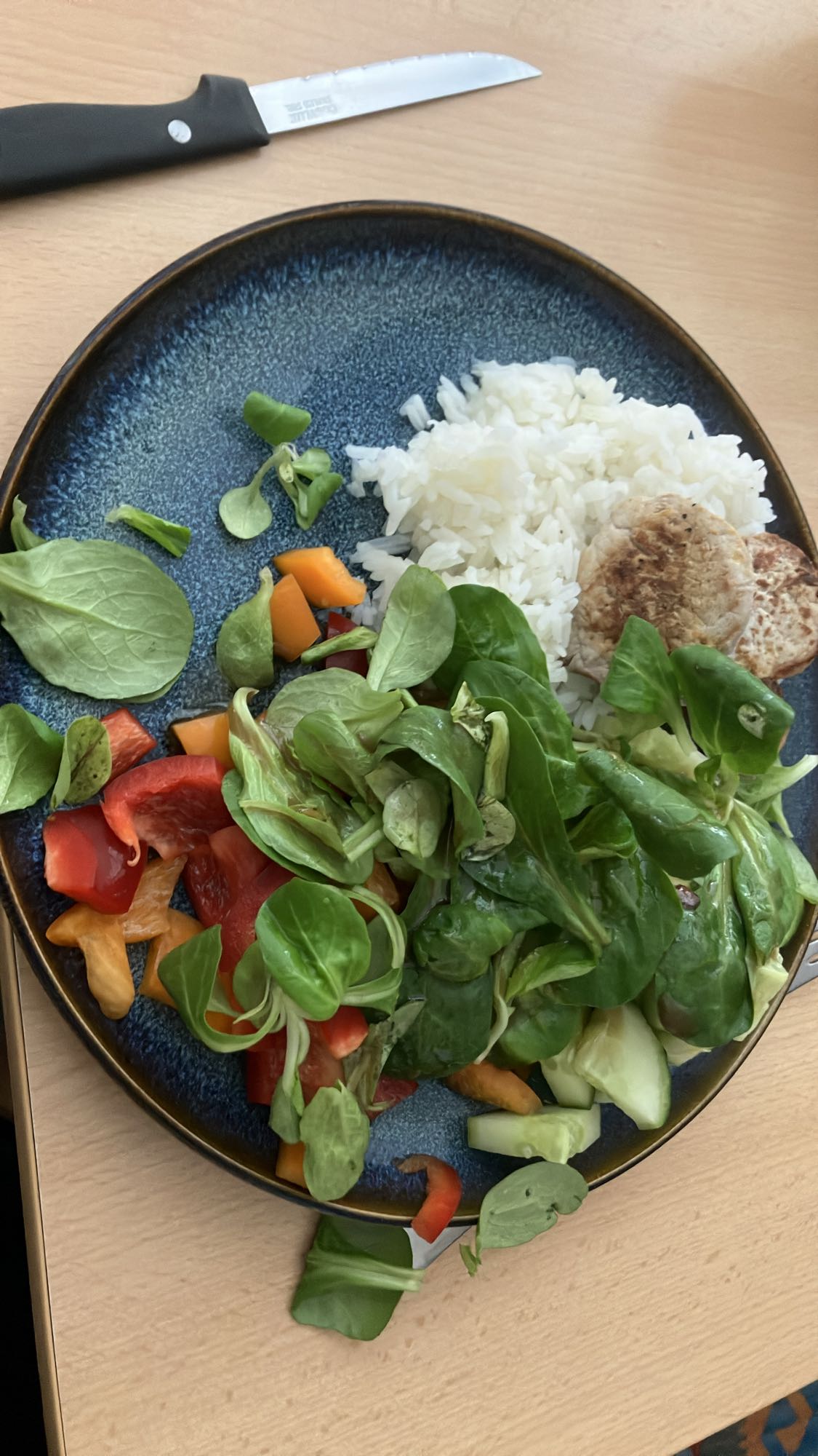 Arroz com salada e filé de porco