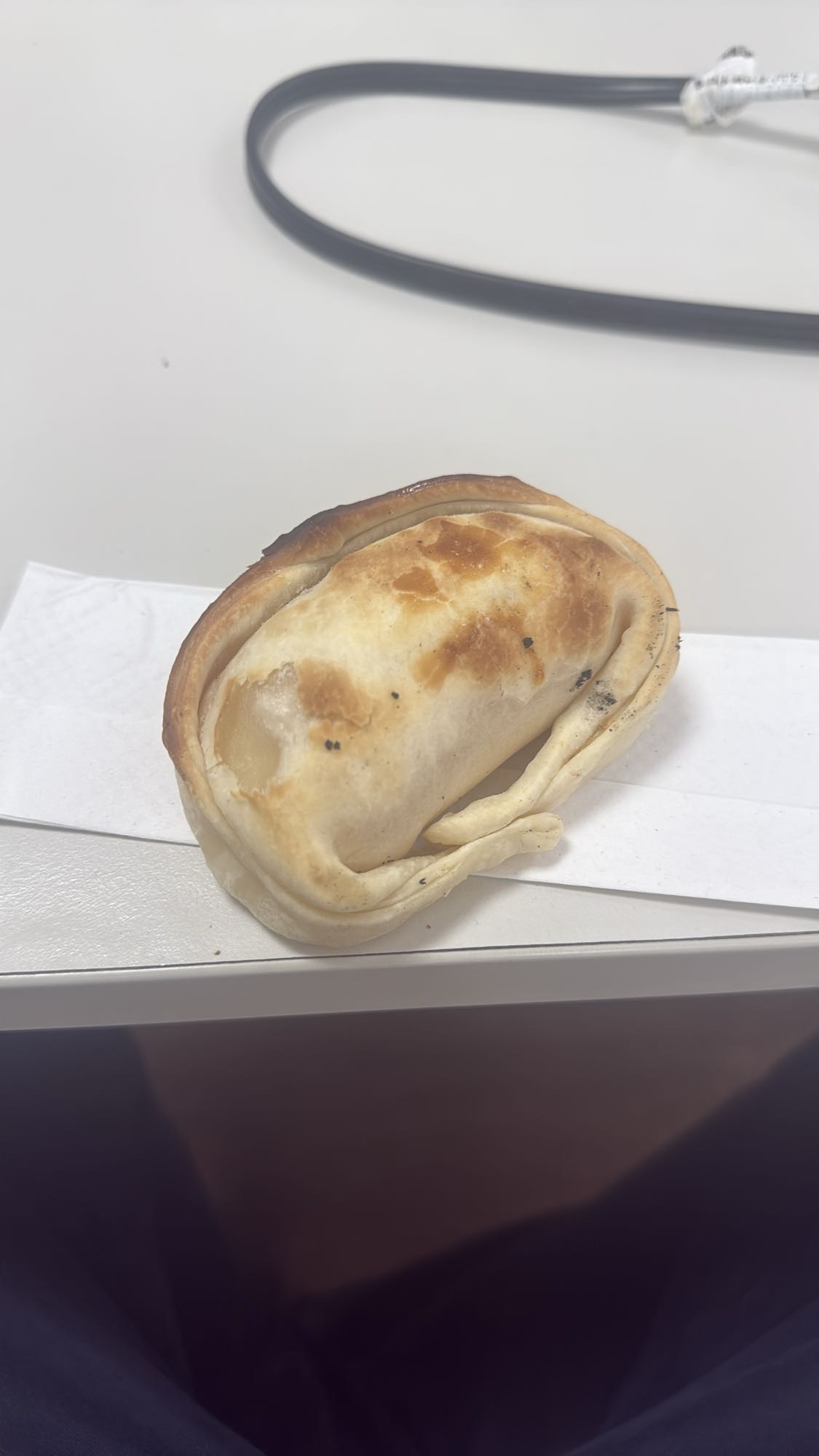 empanada al horno