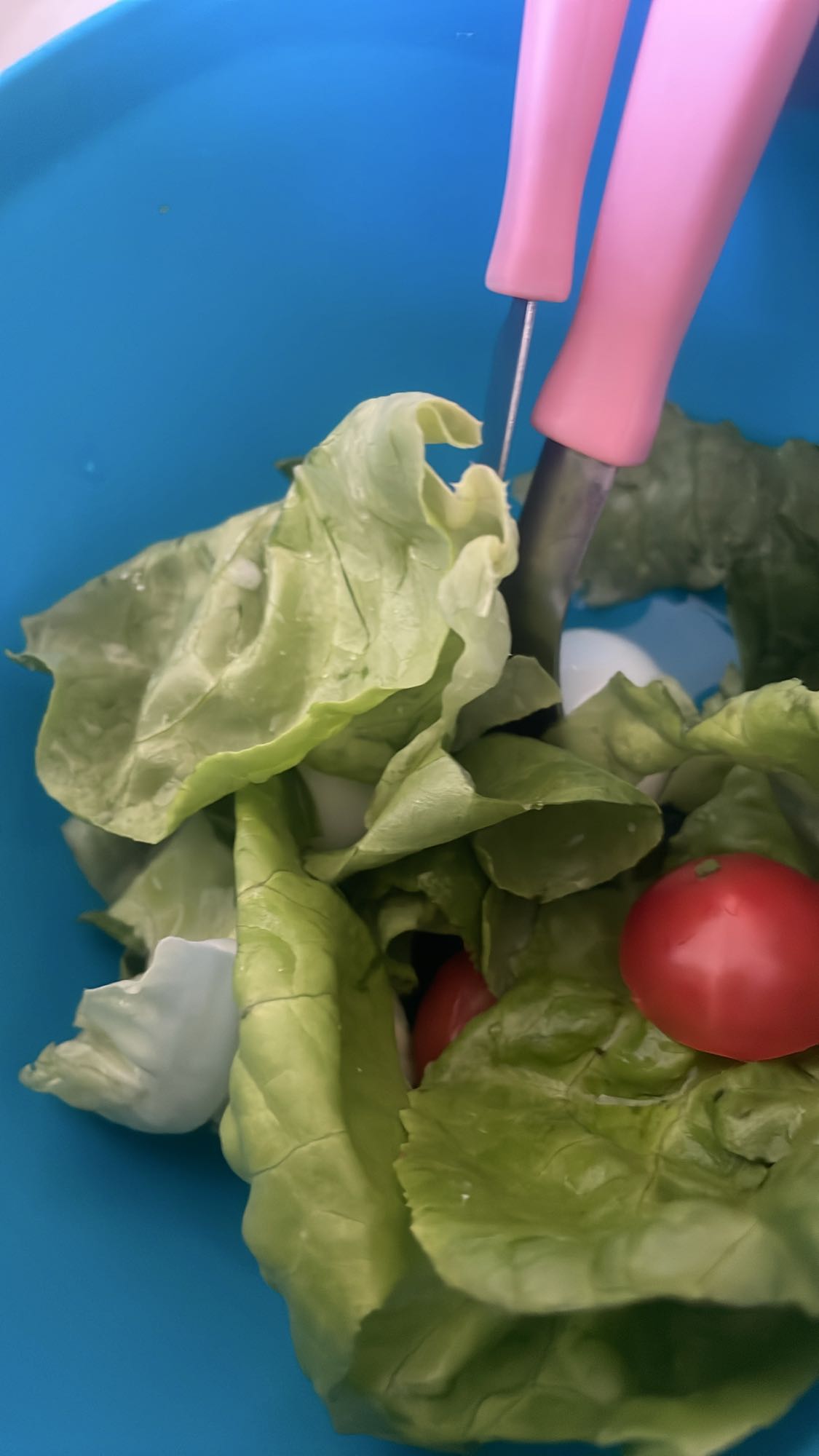 Salada fresca simples