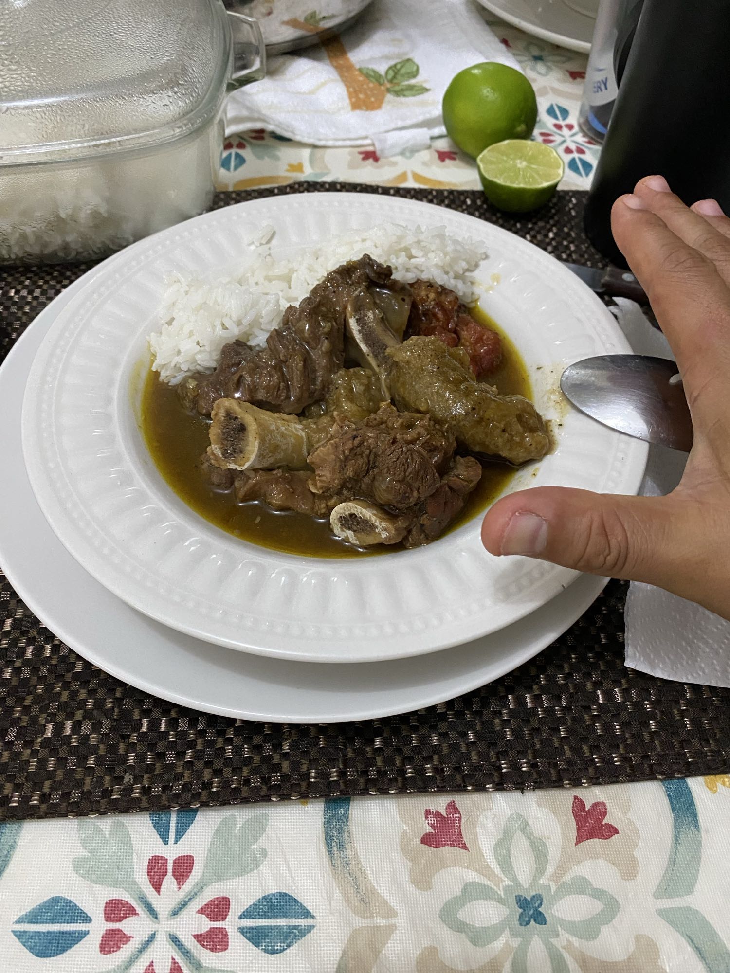 Carne guisada con arroz