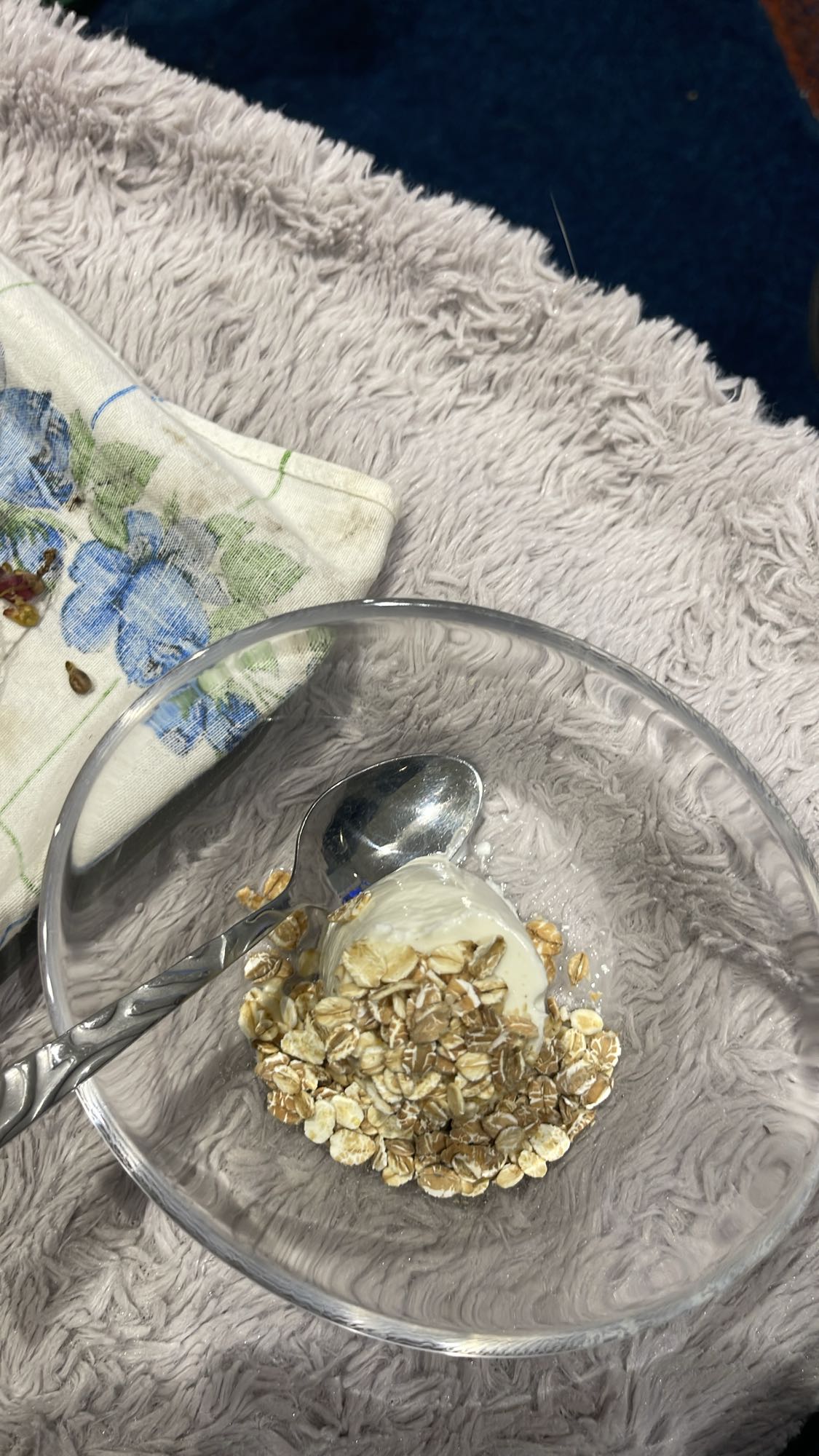 Yaourt et flocons d'avoine