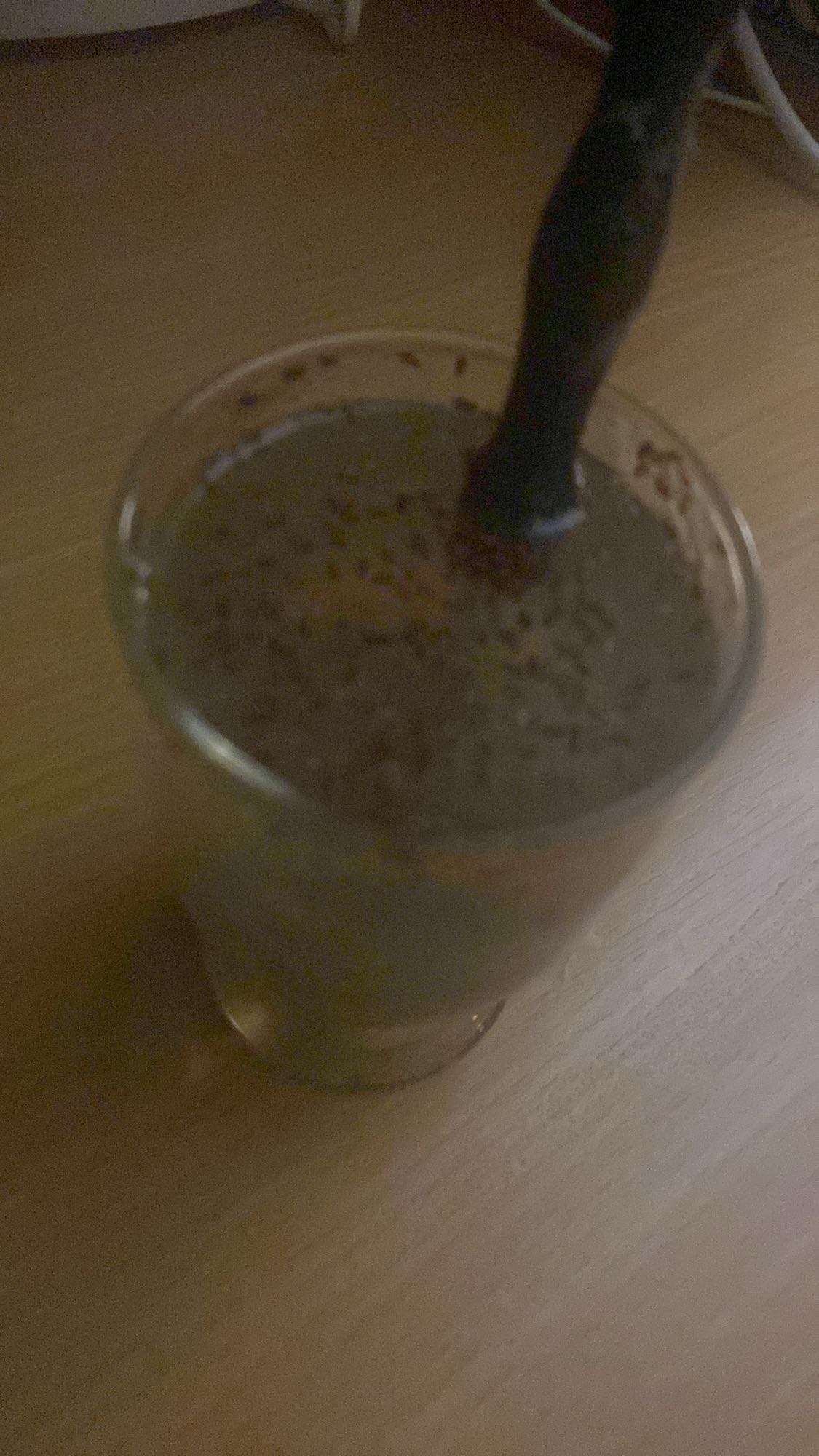 czekoladowy pudding chia