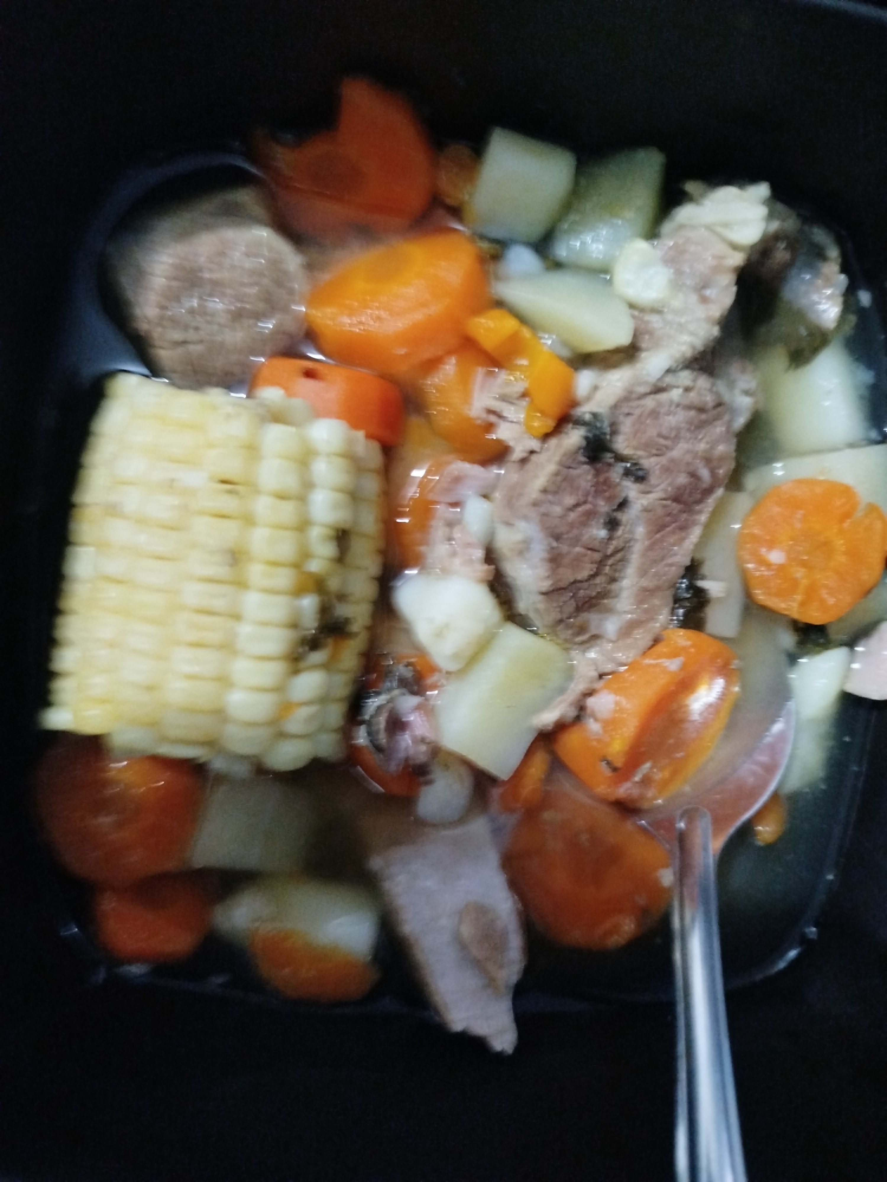 Sopa de res con verduras