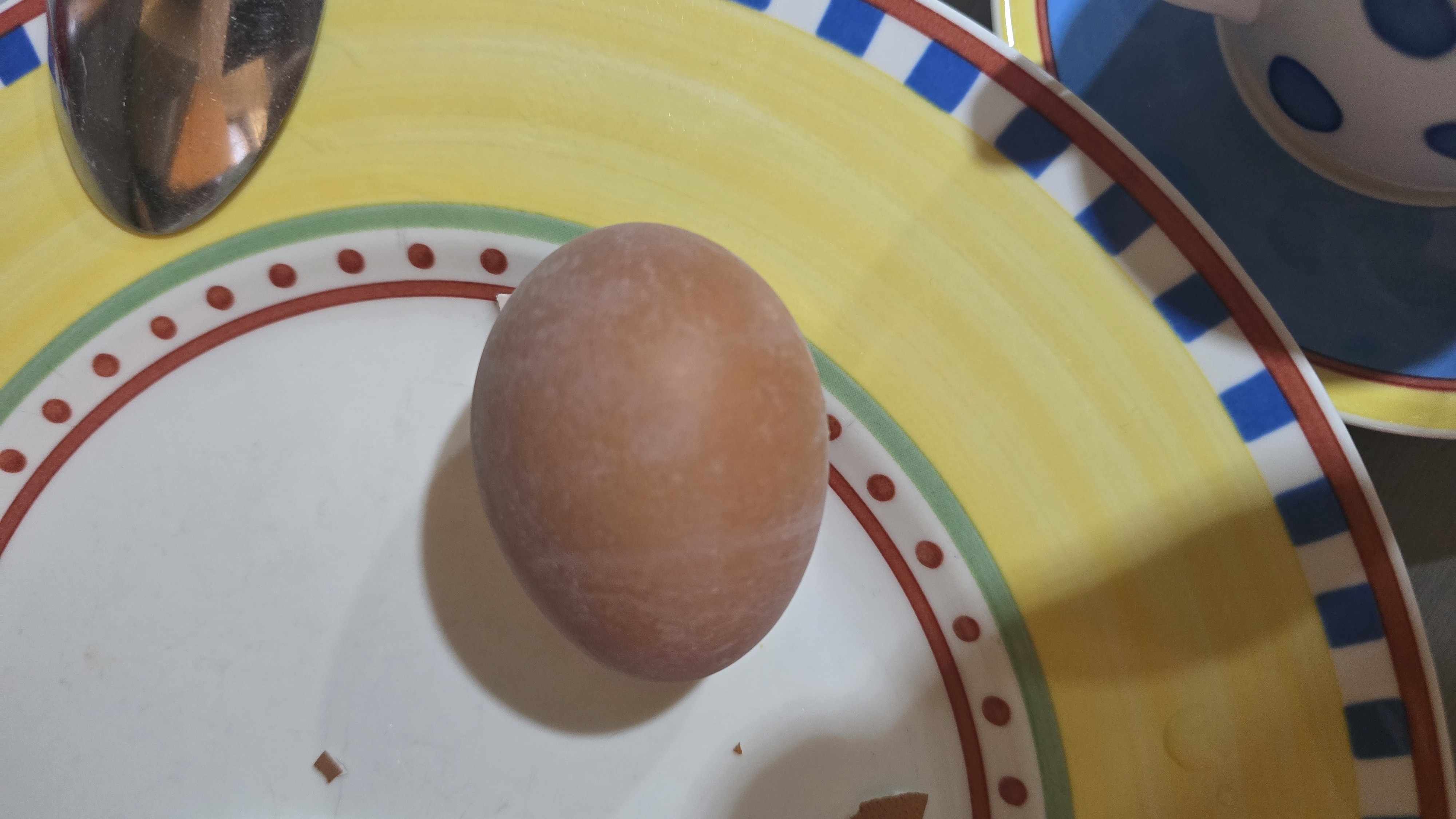 Boiled Egg