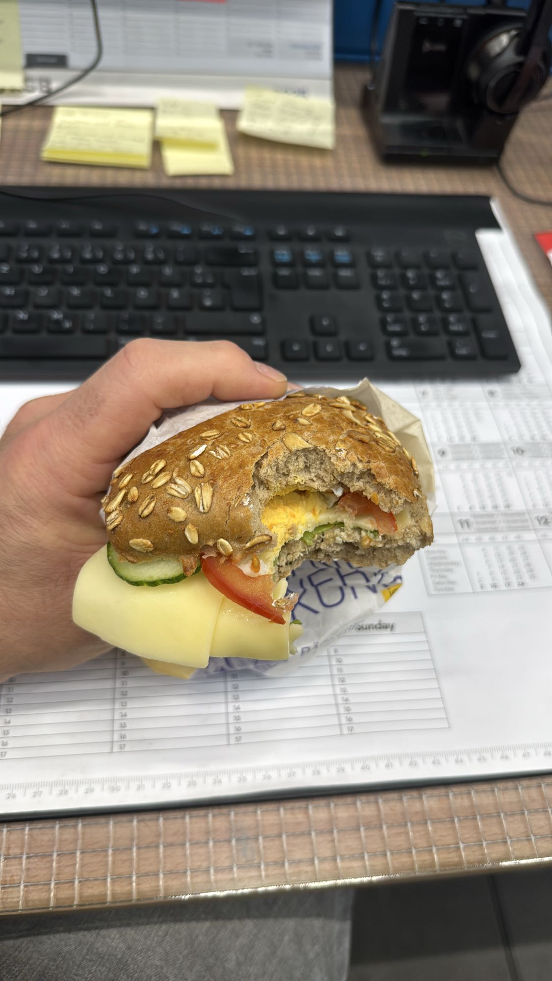 Käse-Ei Vollkornbrötchen