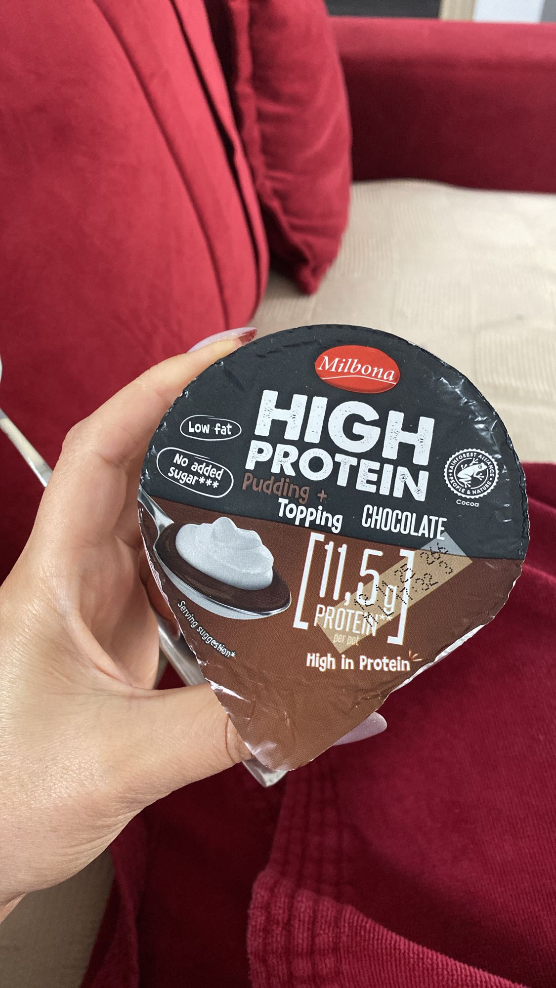 Budincă proteică ciocolată