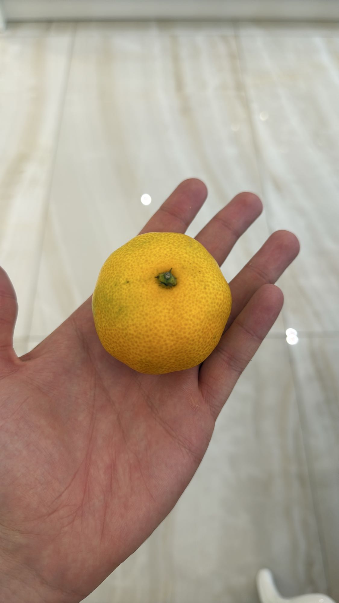 маленький мандарин