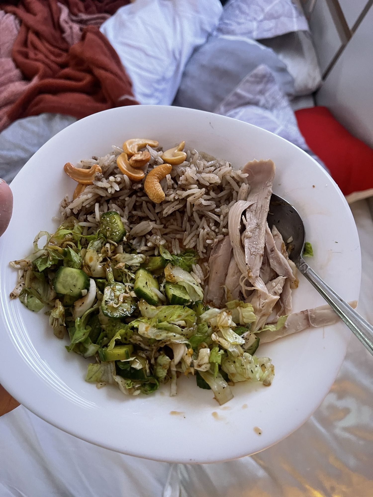 Chicken Rice Salad Plate