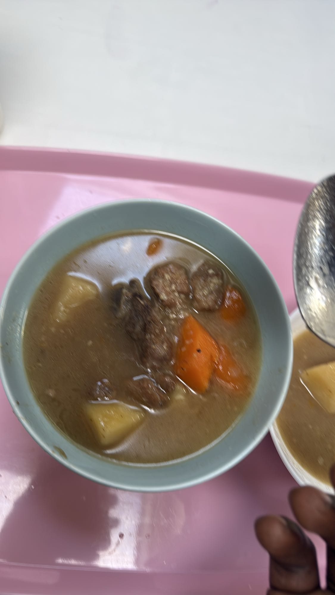 Kjøttgryte med grønnsaker