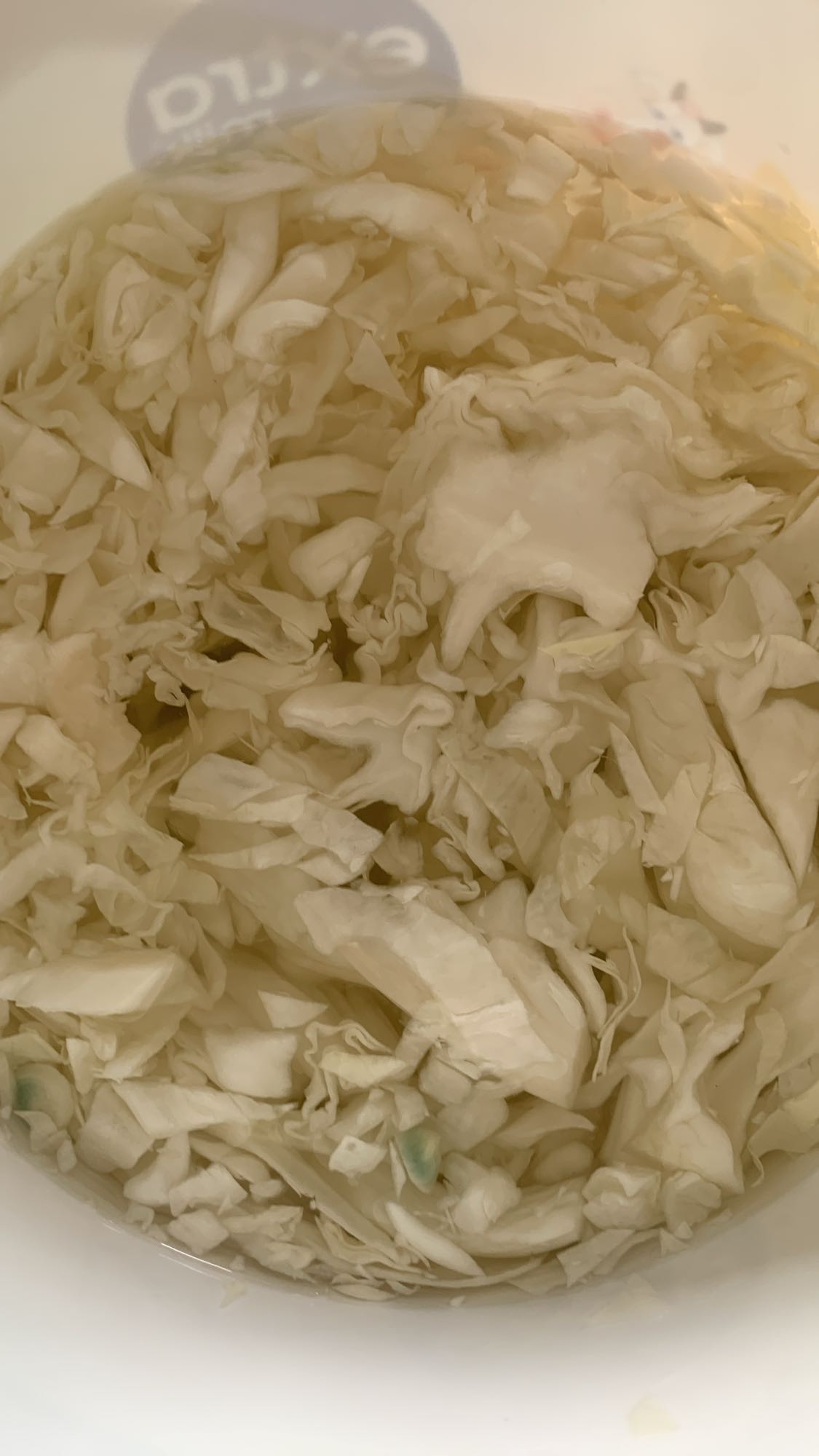 Shredded Cabbage