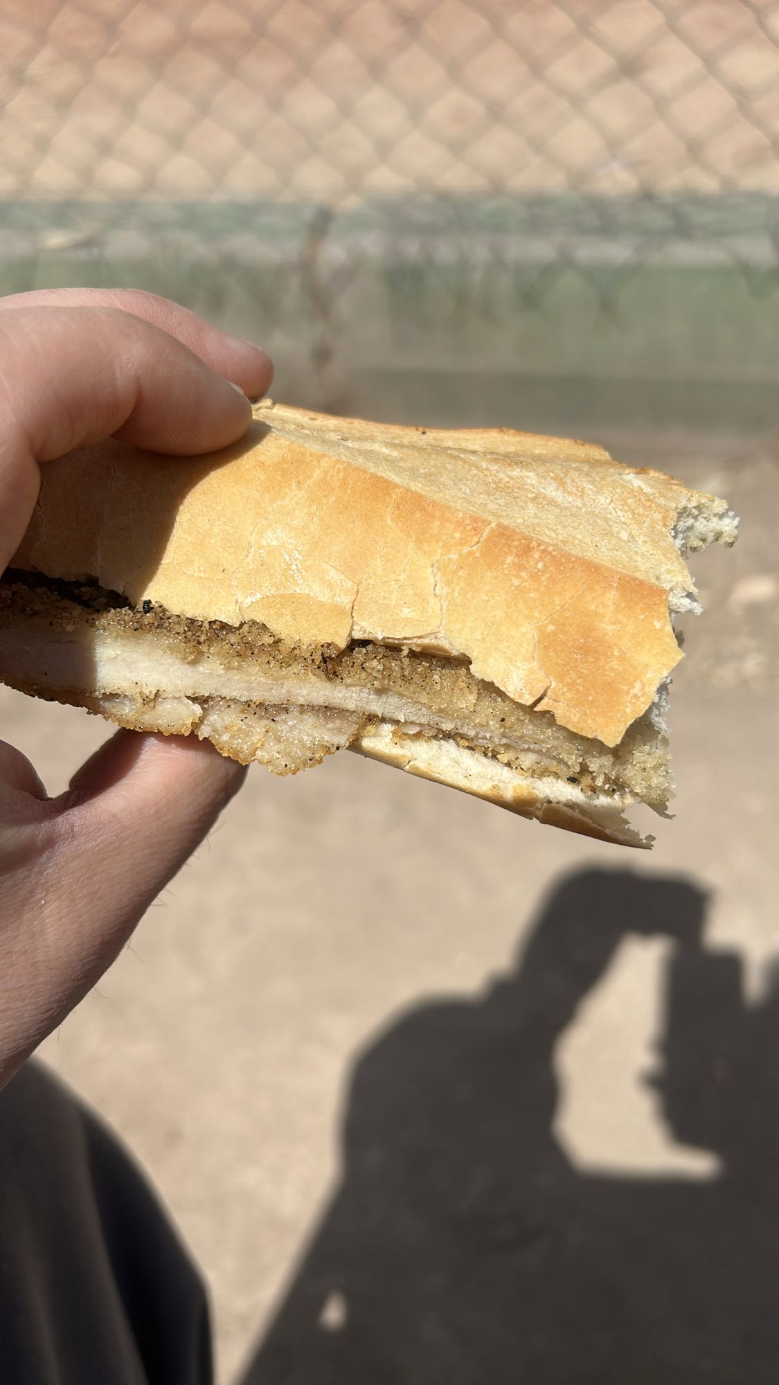 Sándwich de milanesa de pollo