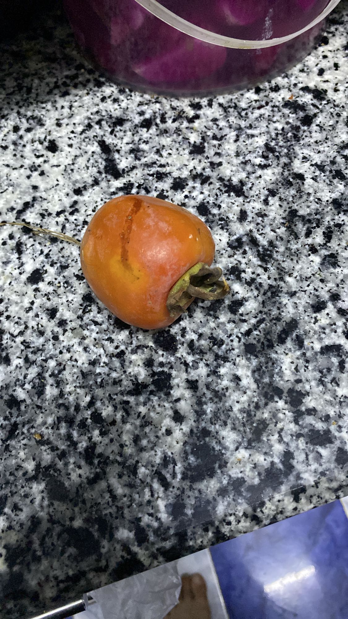 Persimmon fruit