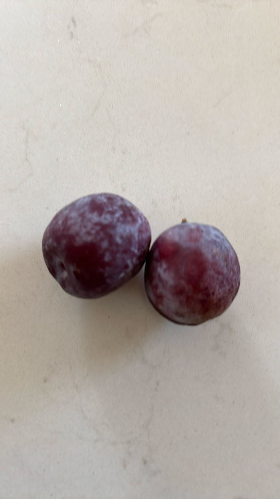 Fresh Plums