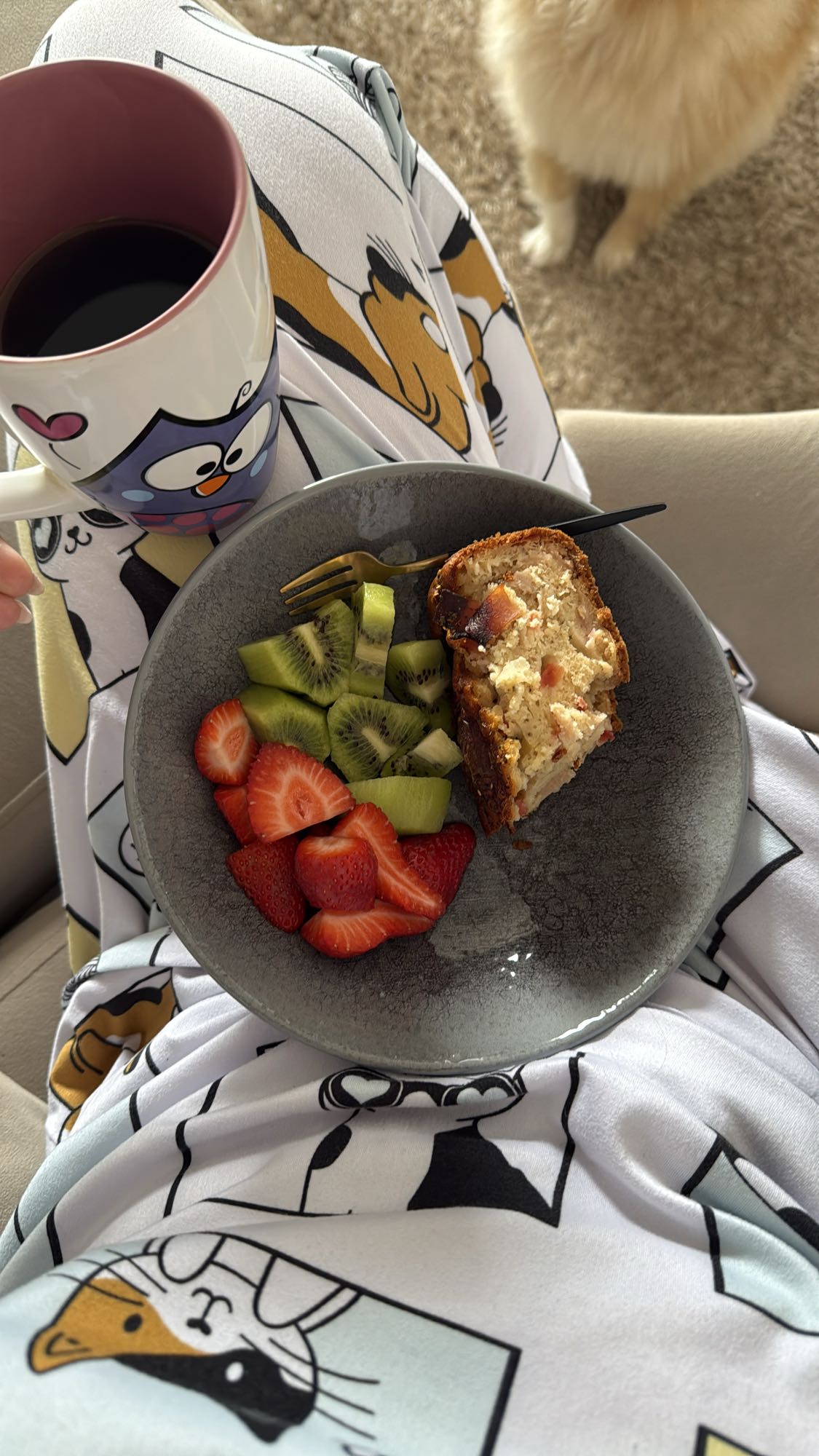 Frutas e bolo matinal