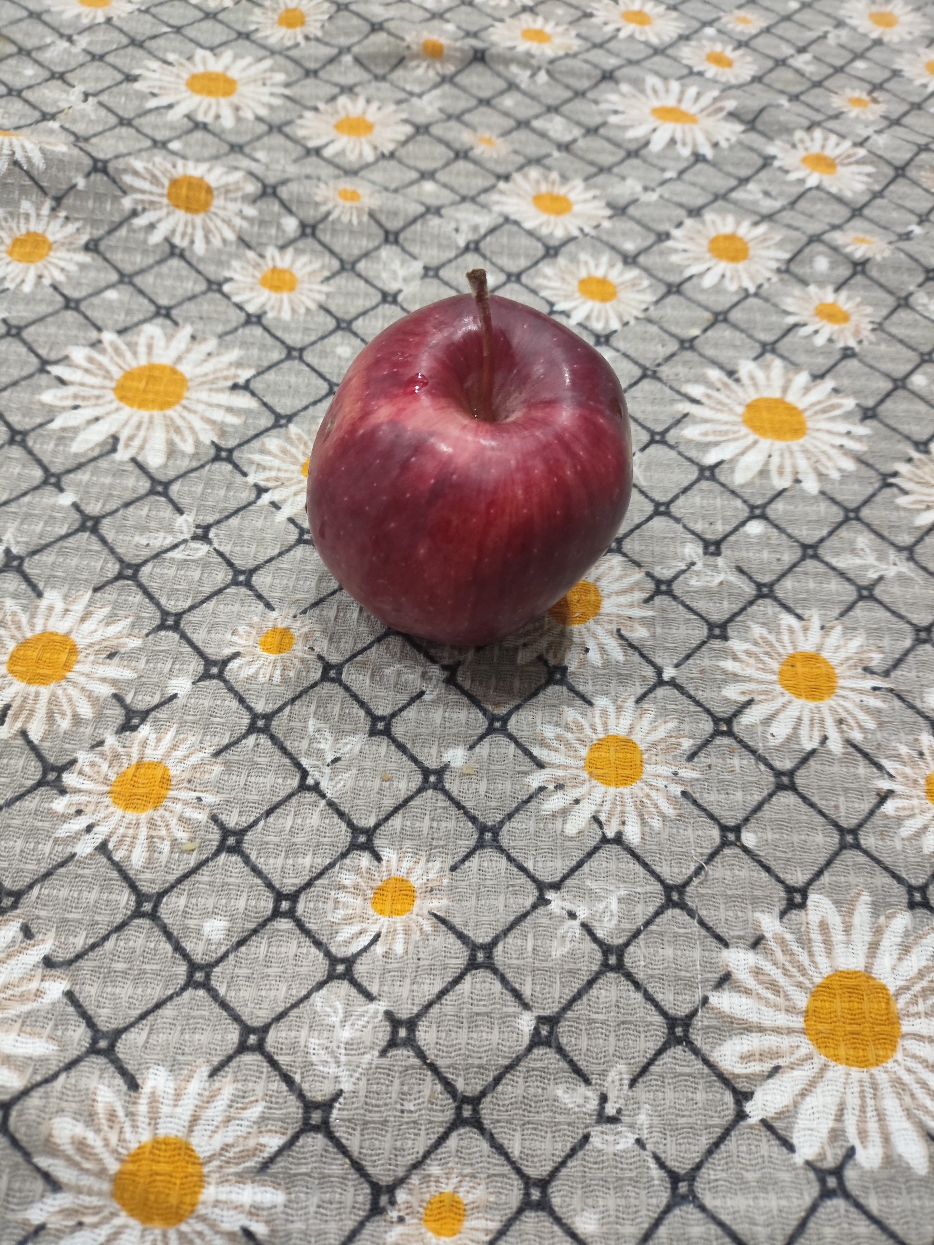 Red Apple Snack