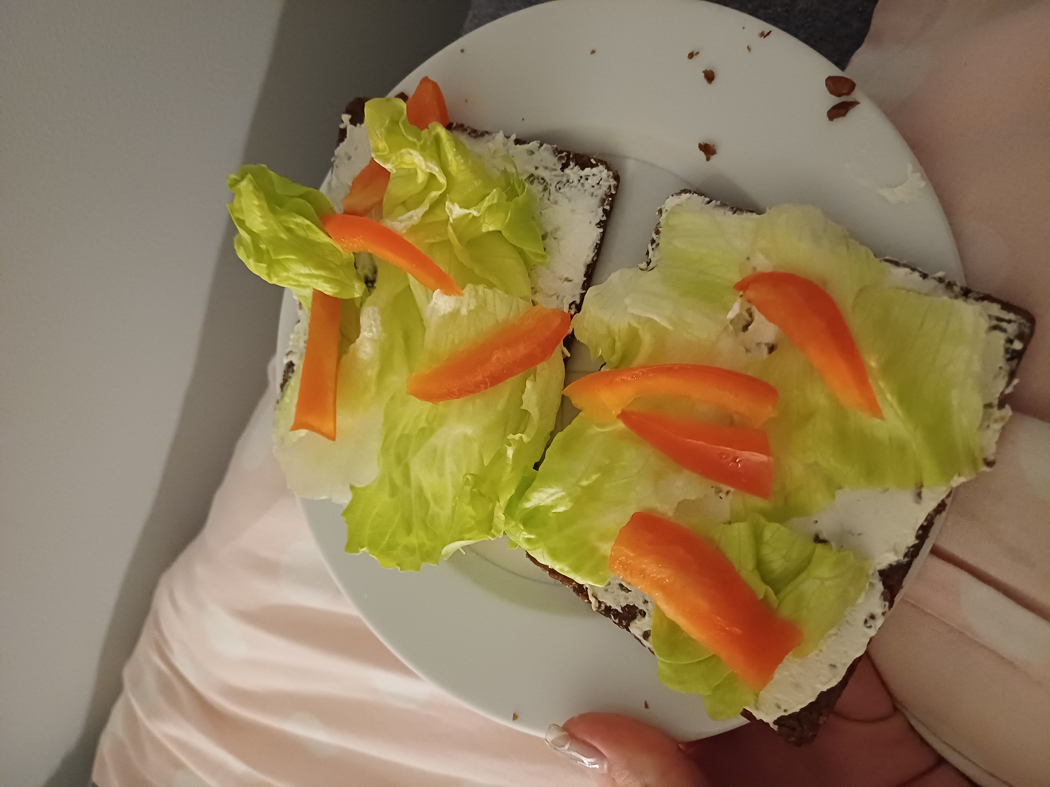Veggie Crispbread Snack