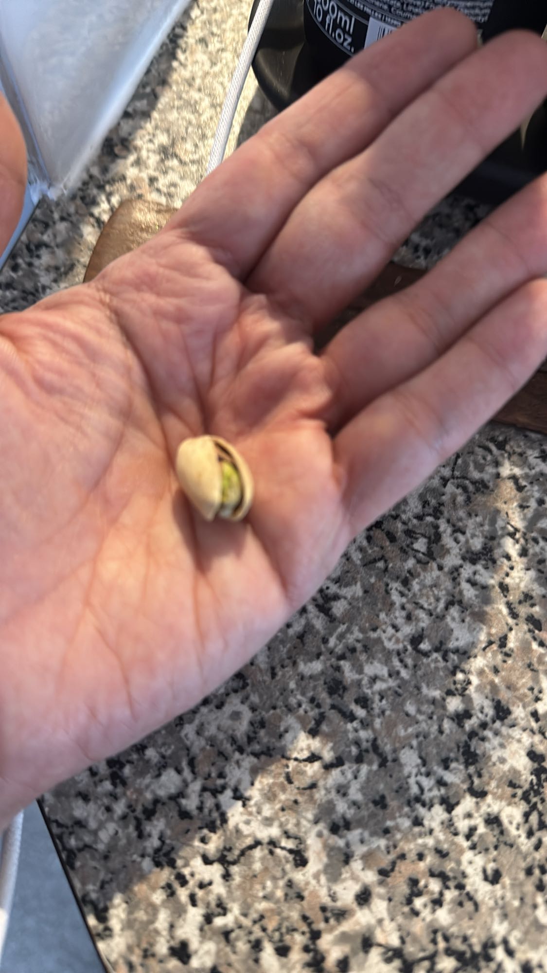 Single Pistachio