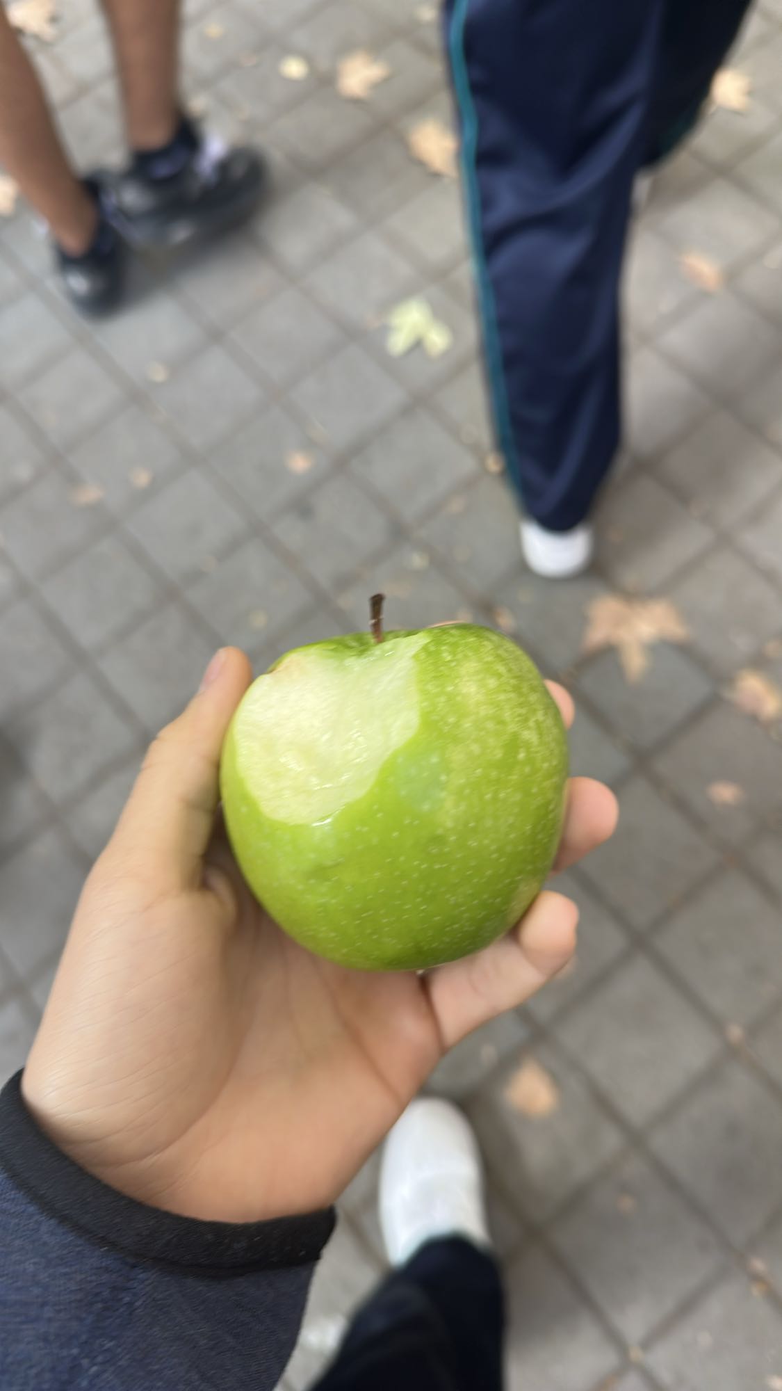 Manzana verde entera