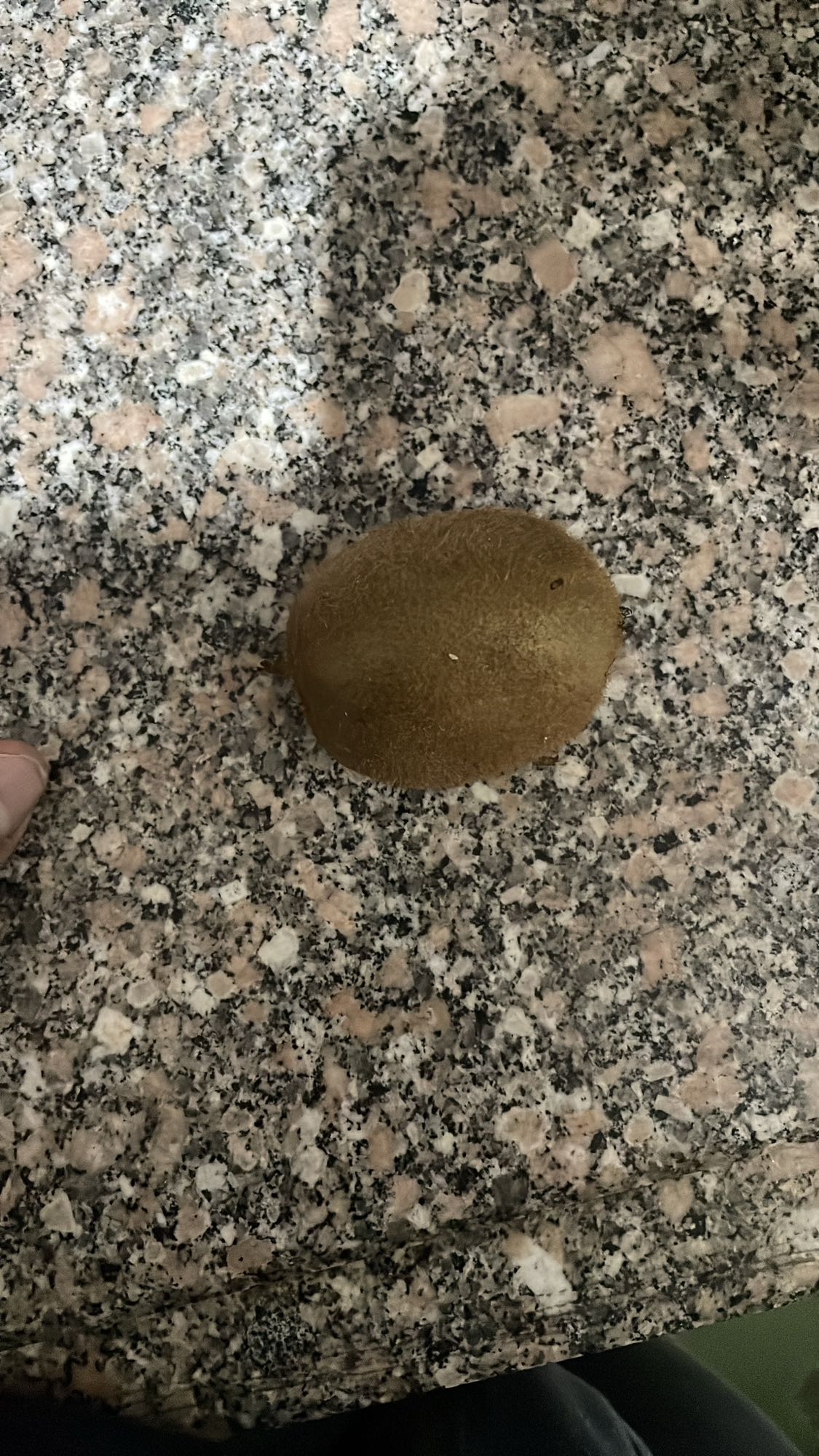 Whole Kiwi